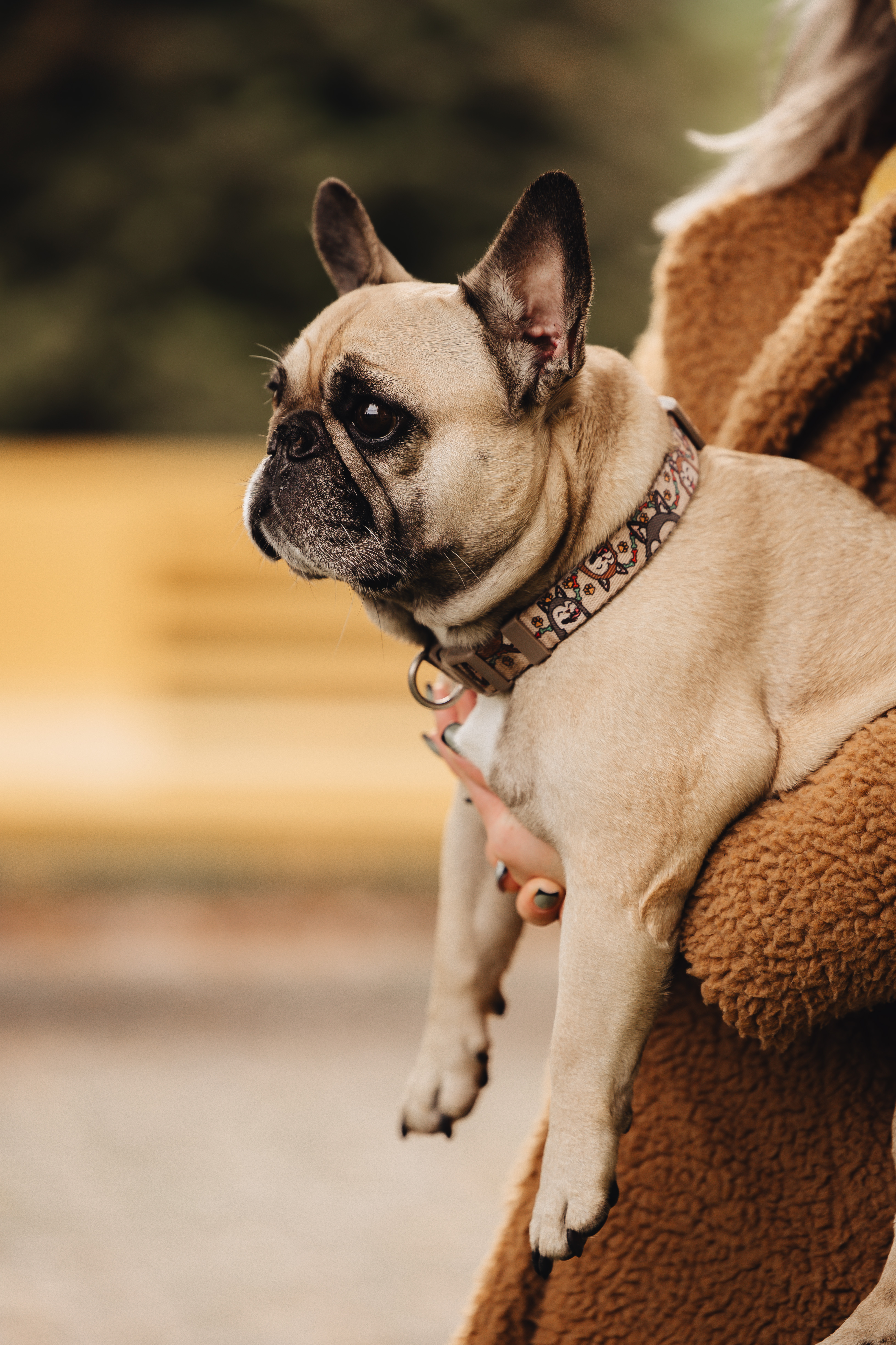 Татьяна и Бони · фото 8