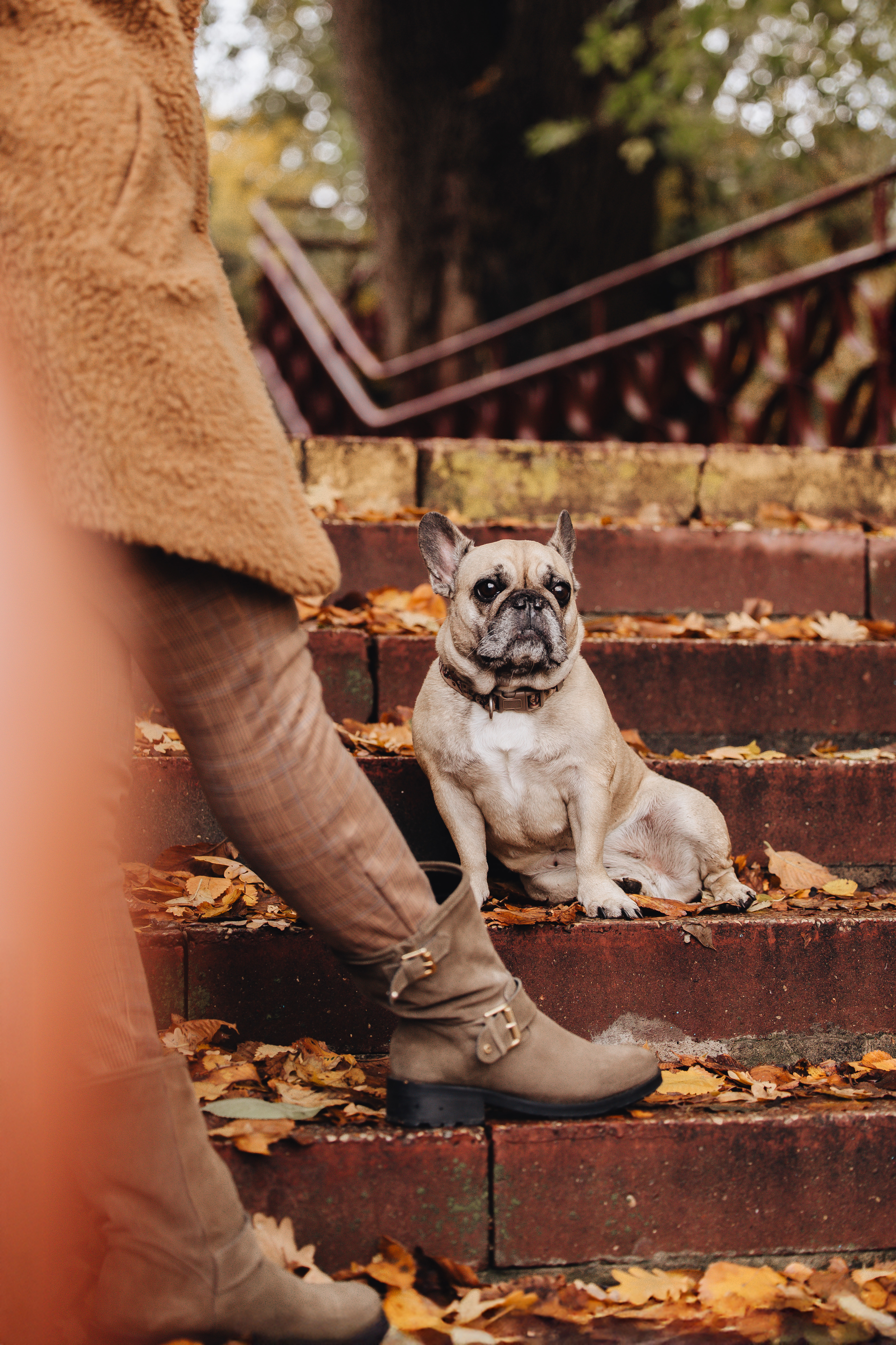 Татьяна и Бони · фото 13