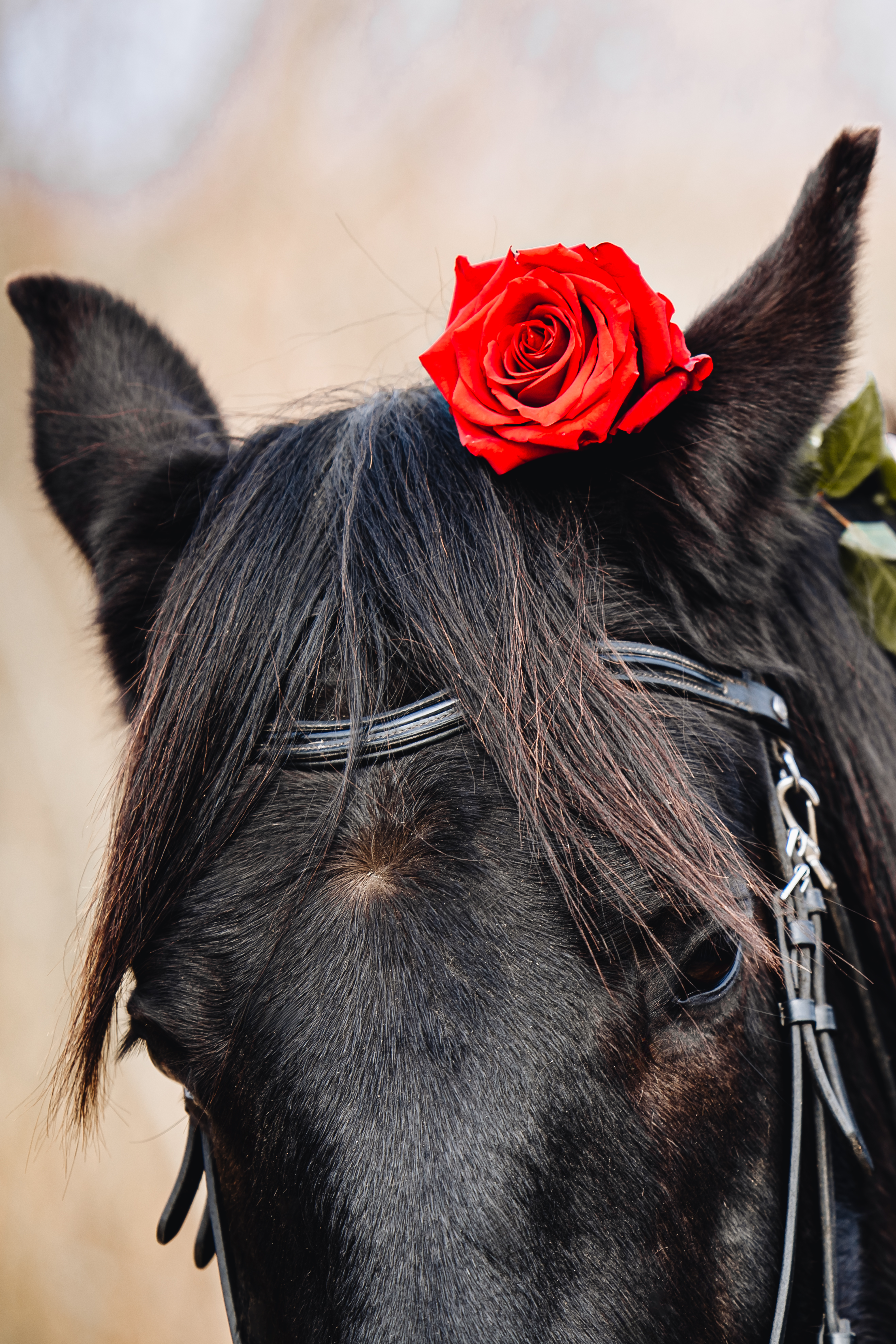 Арина и Патриот · фото 8