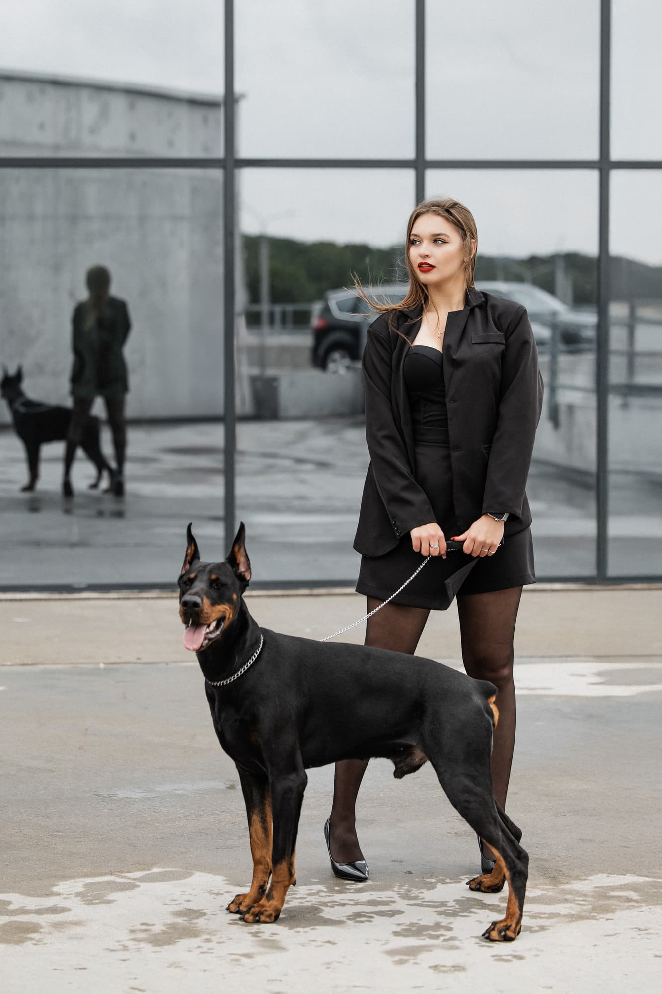 Alexandra and Sirius thumbnail