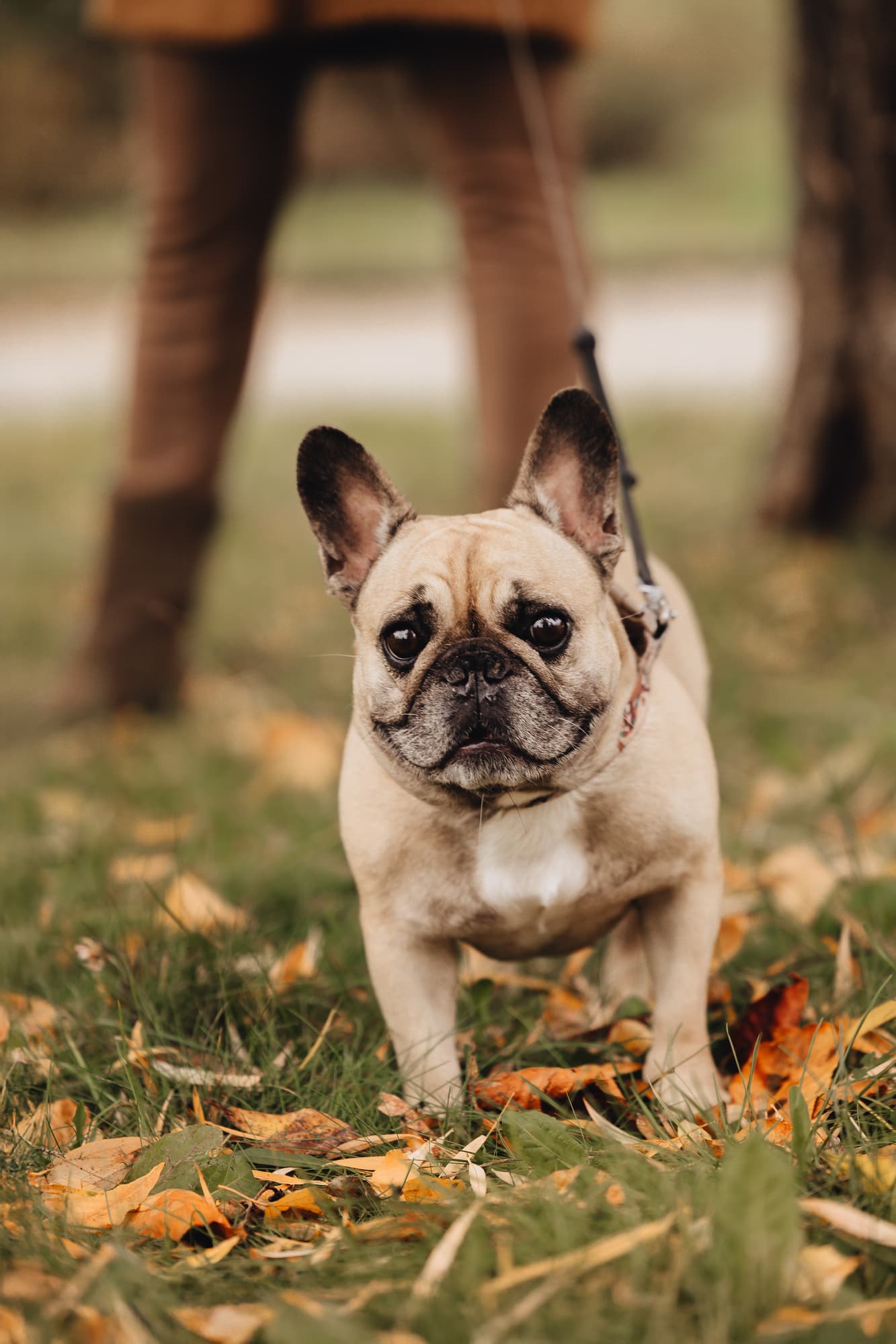 Tatiana and Boni · photo 1