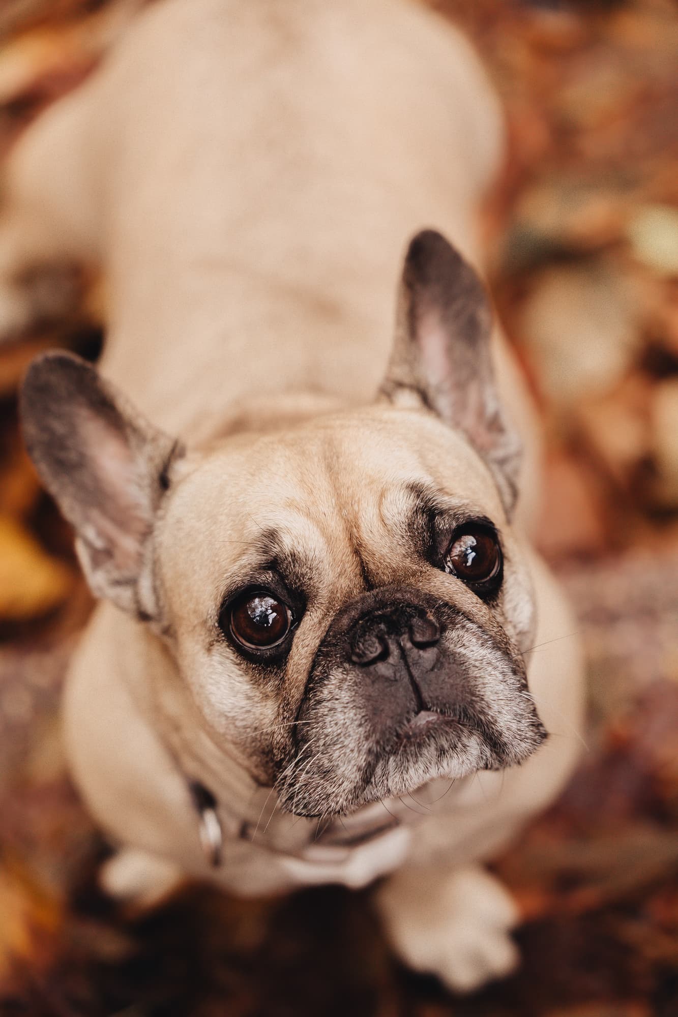 Tatiana and Boni · photo 11