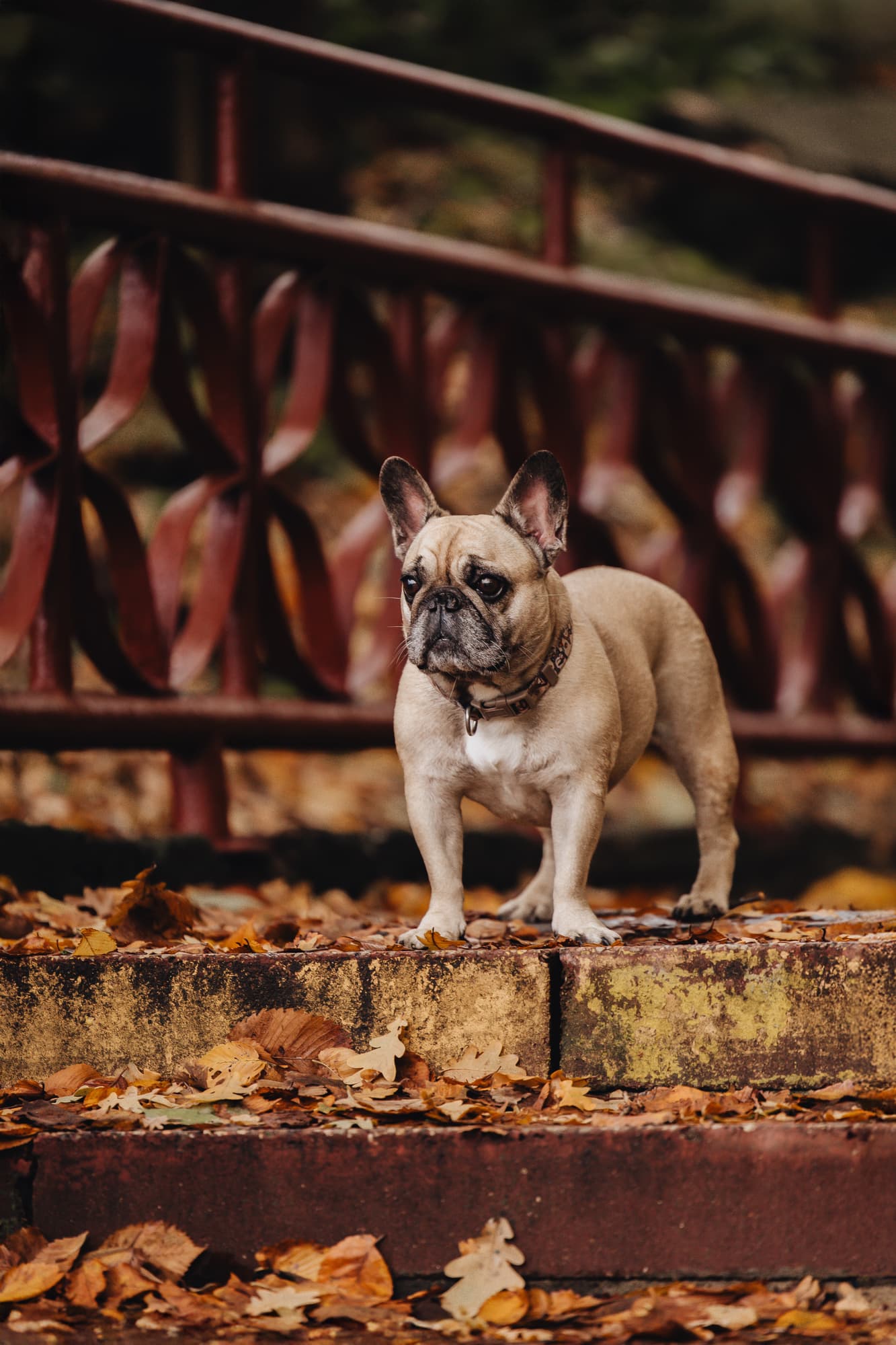 Tatiana and Boni · photo 14