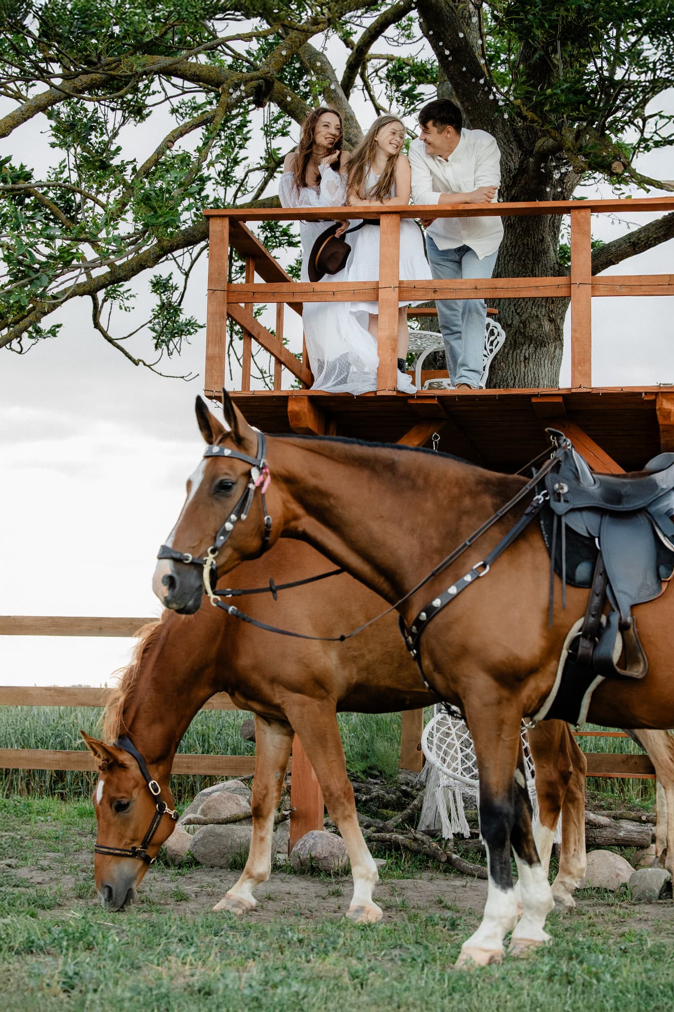 A summer evening at the stable thumbnail
