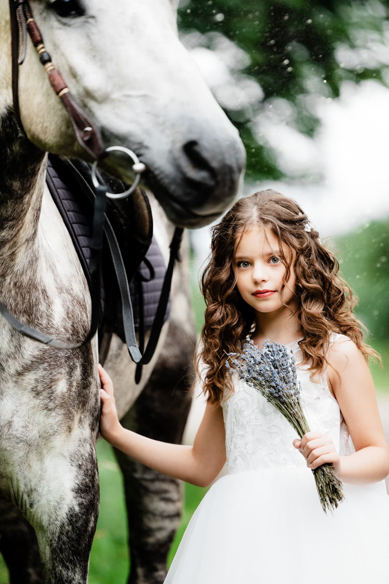 Evelina and the King · photo 3