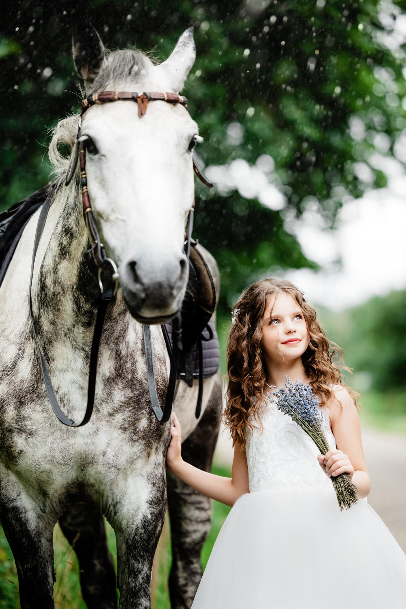 Evelina and the King · photo 4