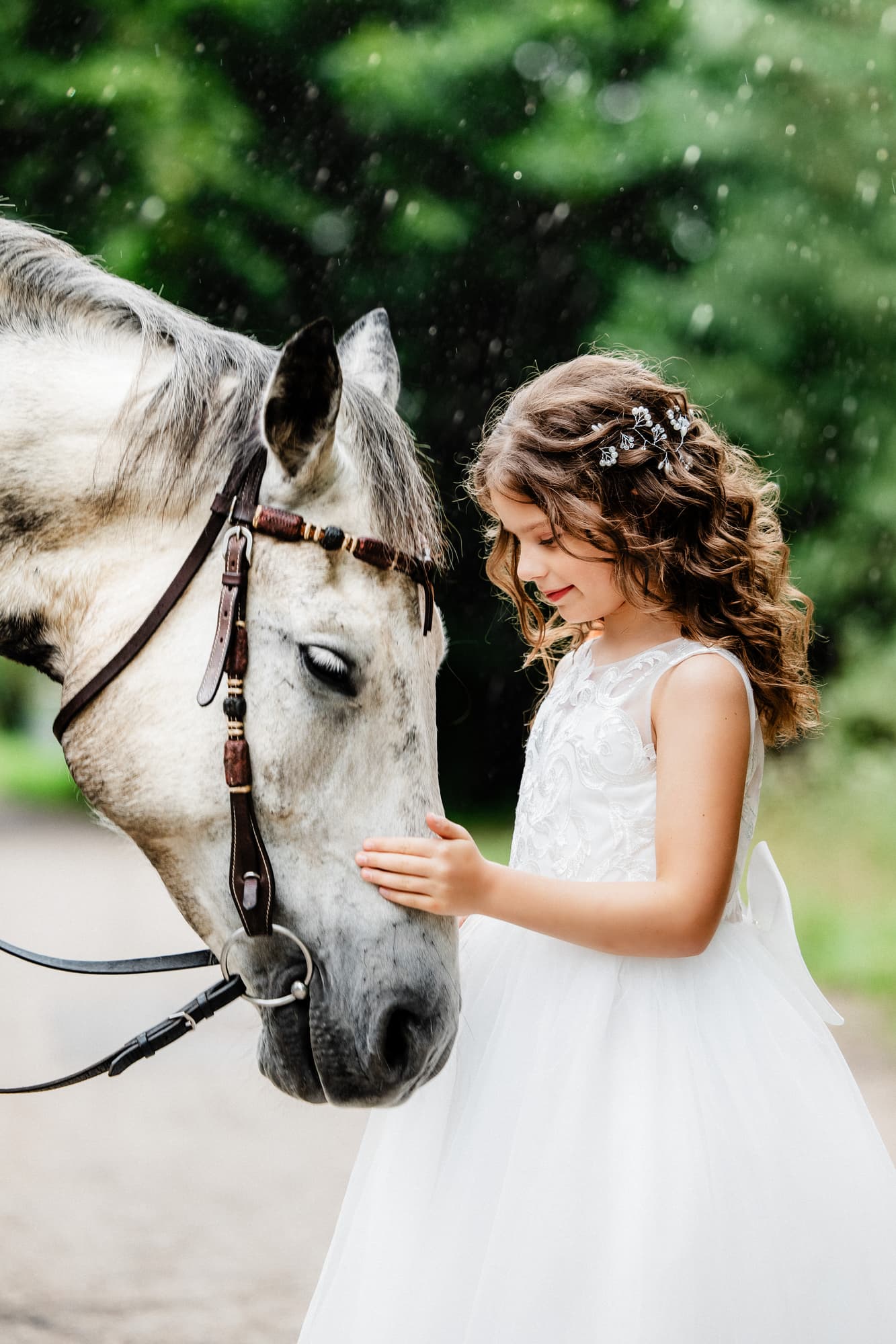 Evelina and the King · photo 7