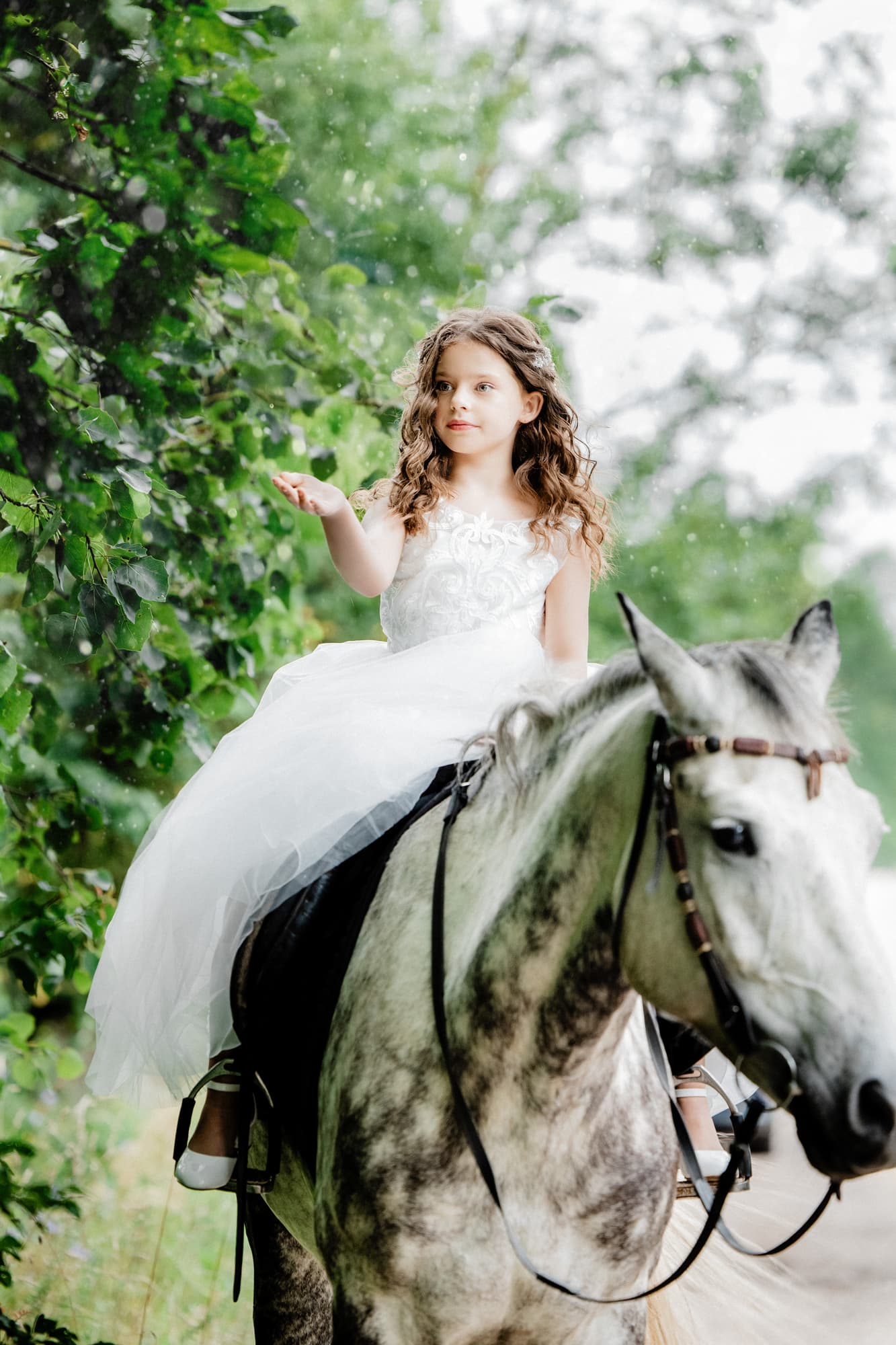 Evelina and the King · photo 9