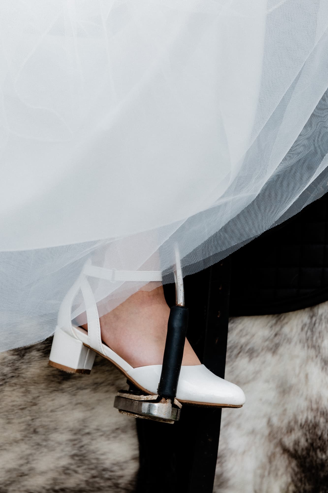 Evelina and the King · photo 11