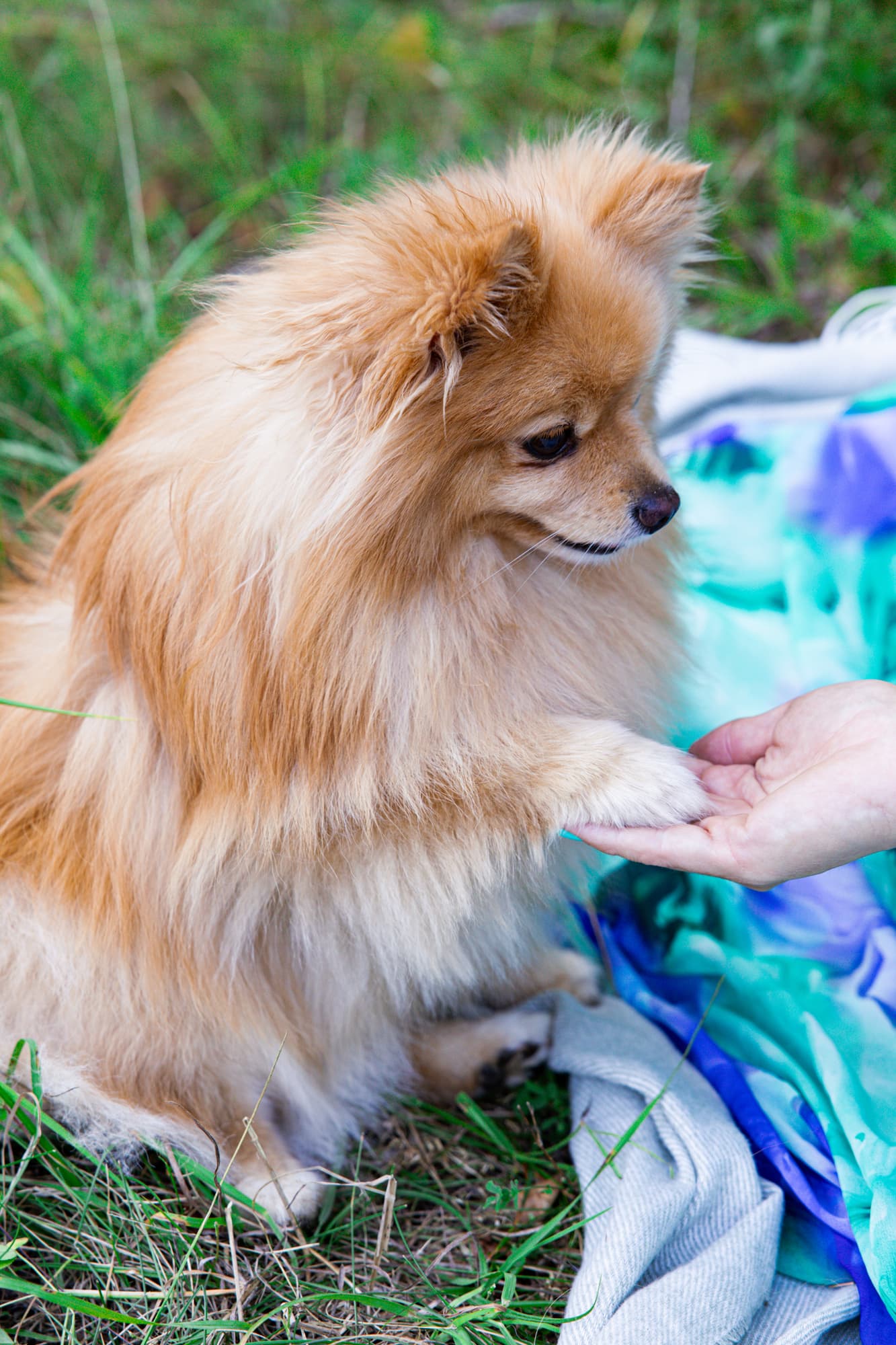 With Persik · photo 5