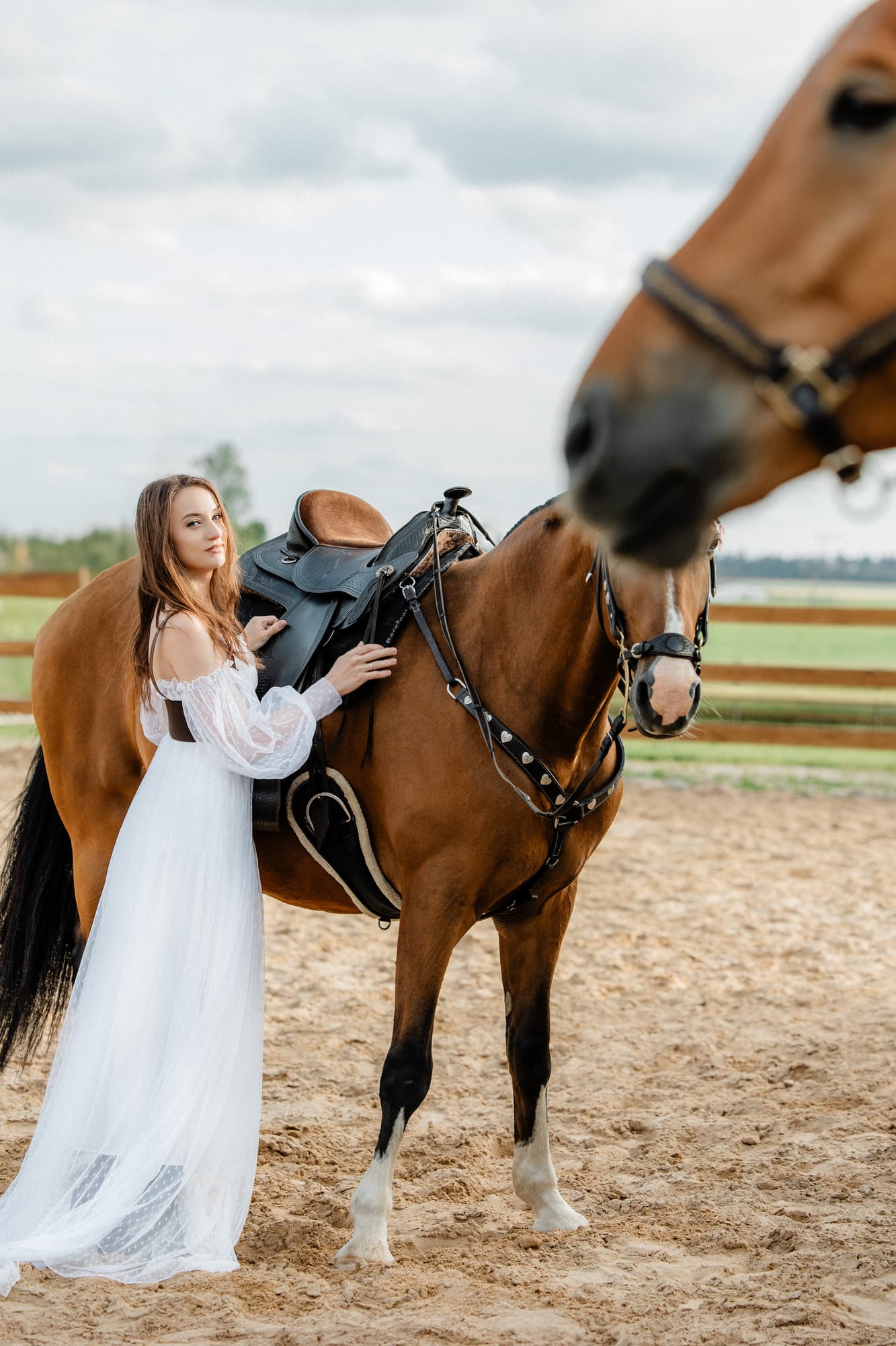 A summer evening at the stable · photo 1