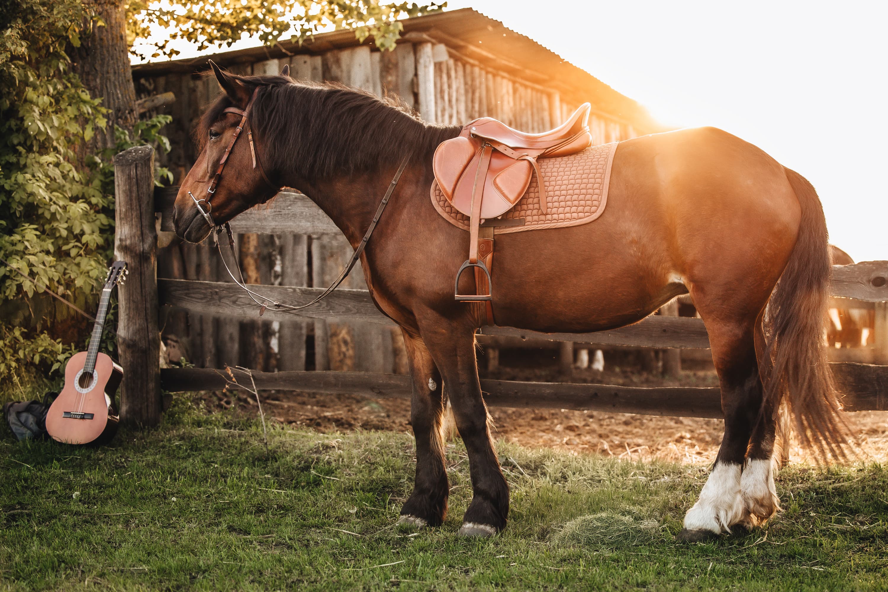 Veronika and Lada · photo 17
