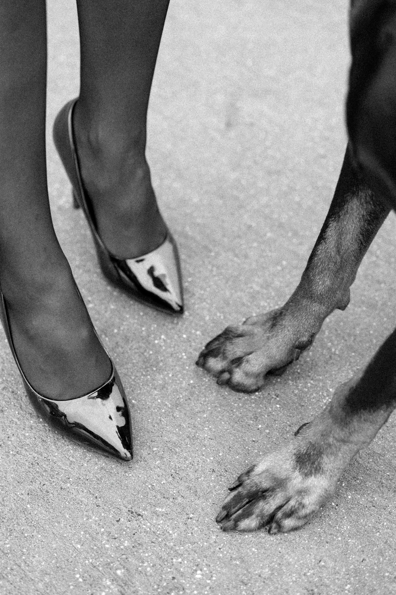 Alexandra and Sirius · photo 15