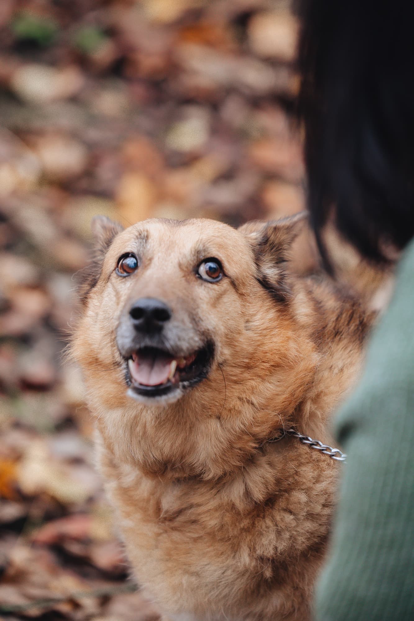 Nastya and Palma · photo 20