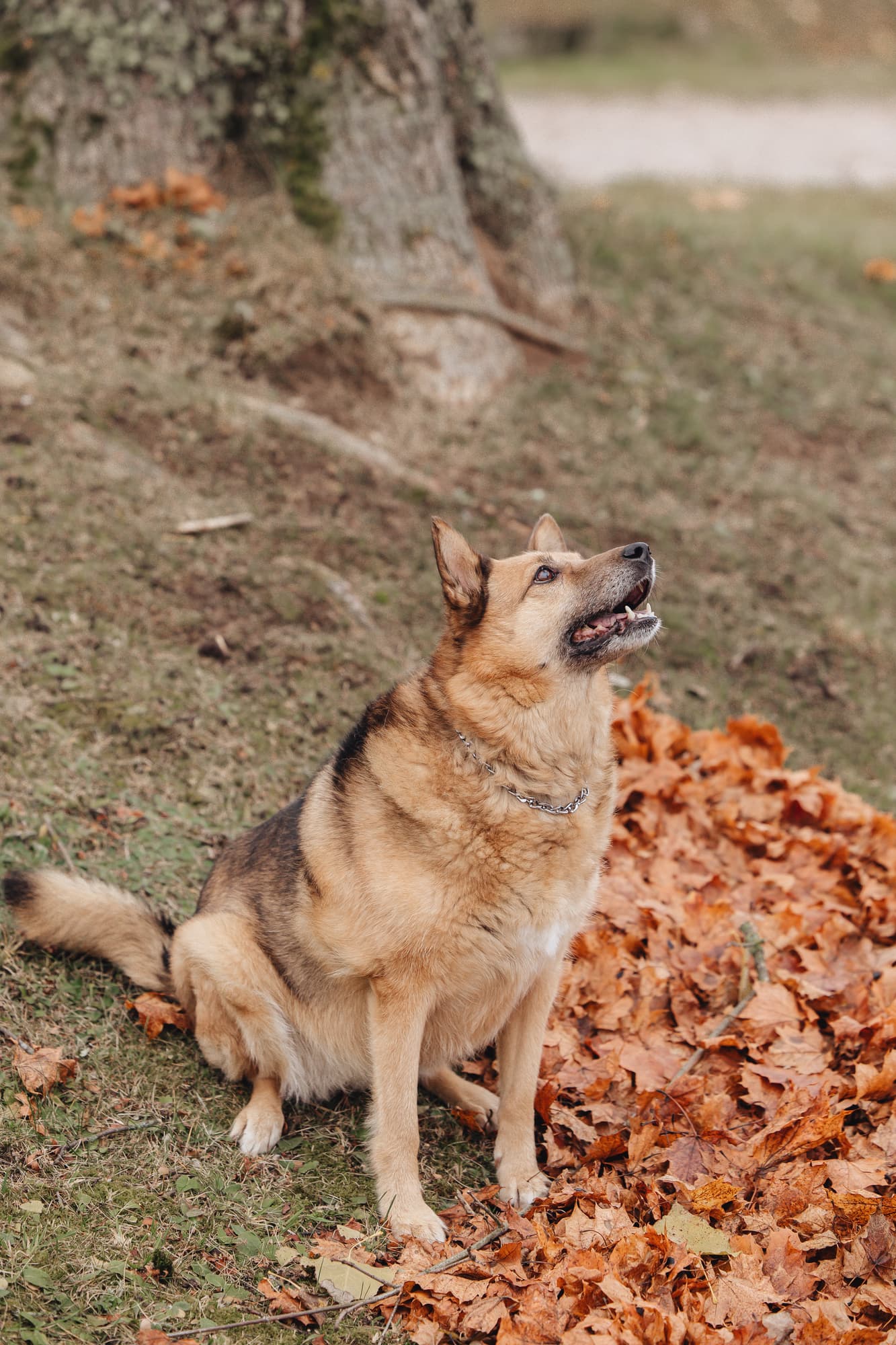 Nastya and Palma · photo 3