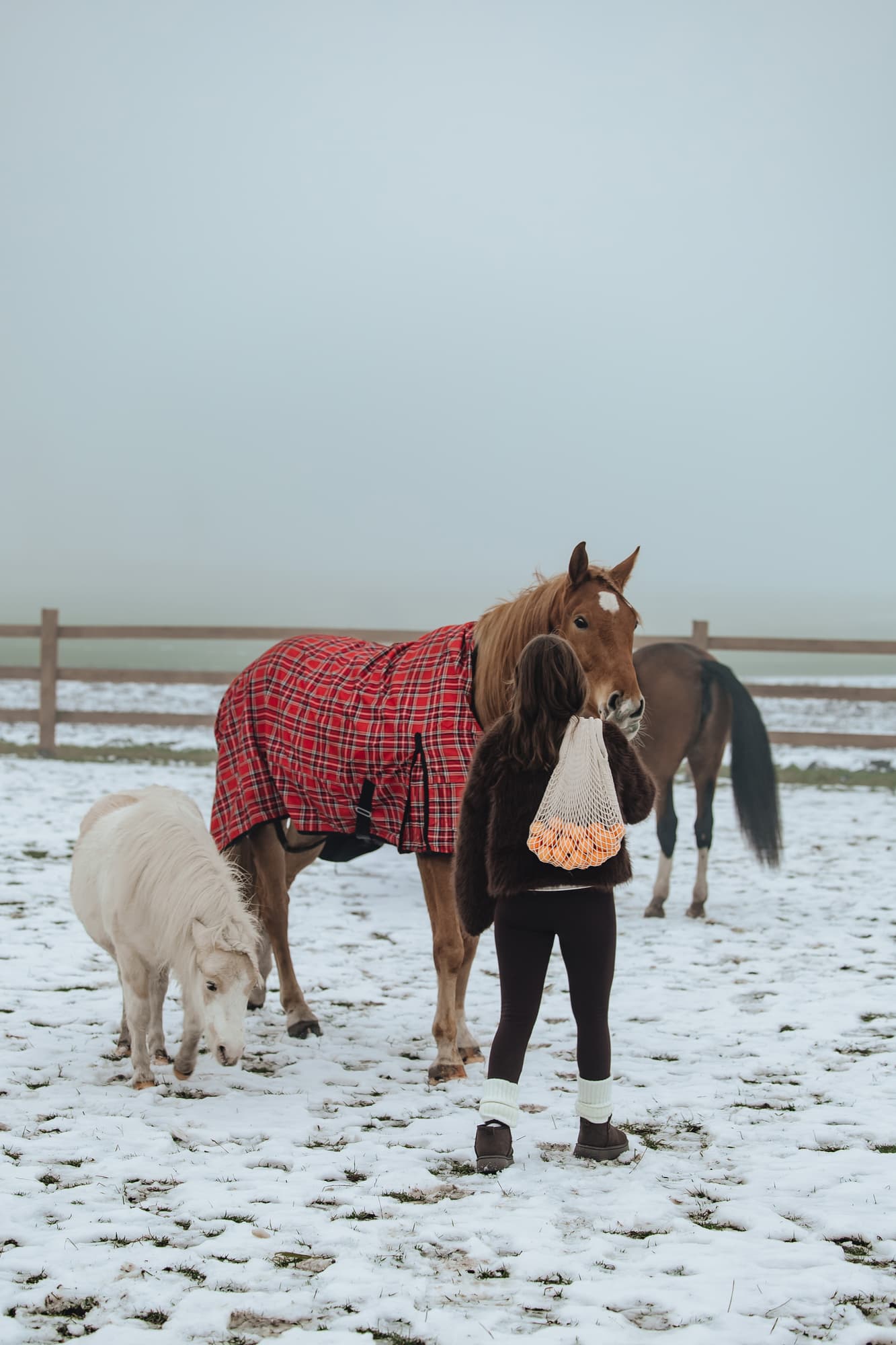 Maria and the horses · photo 10