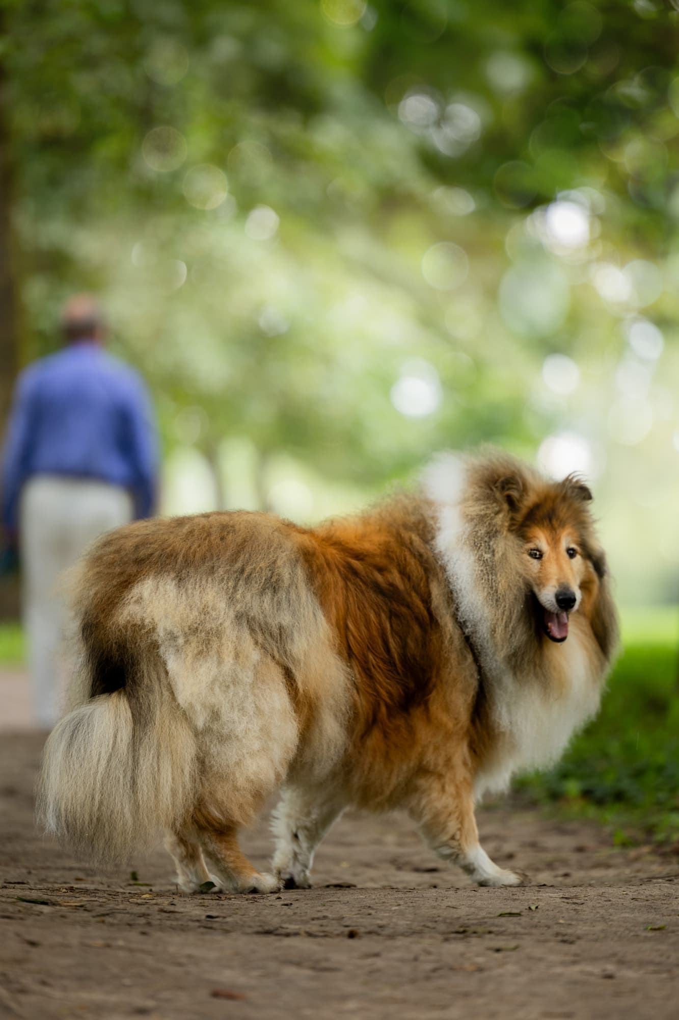 Sam is a loyal friend · photo 7