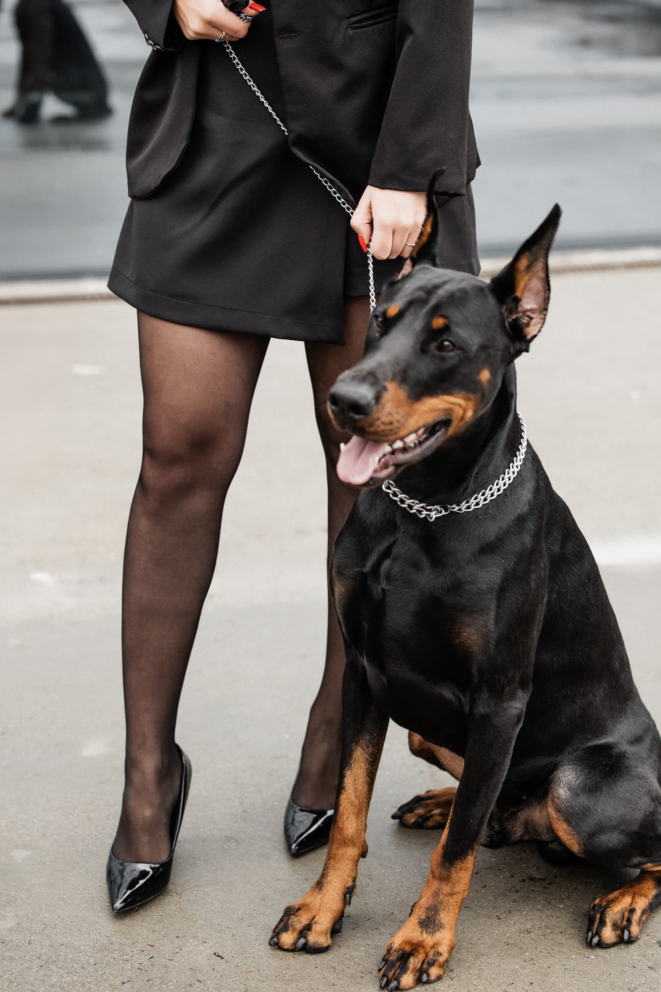 Alexandra and Sirius · photo 2