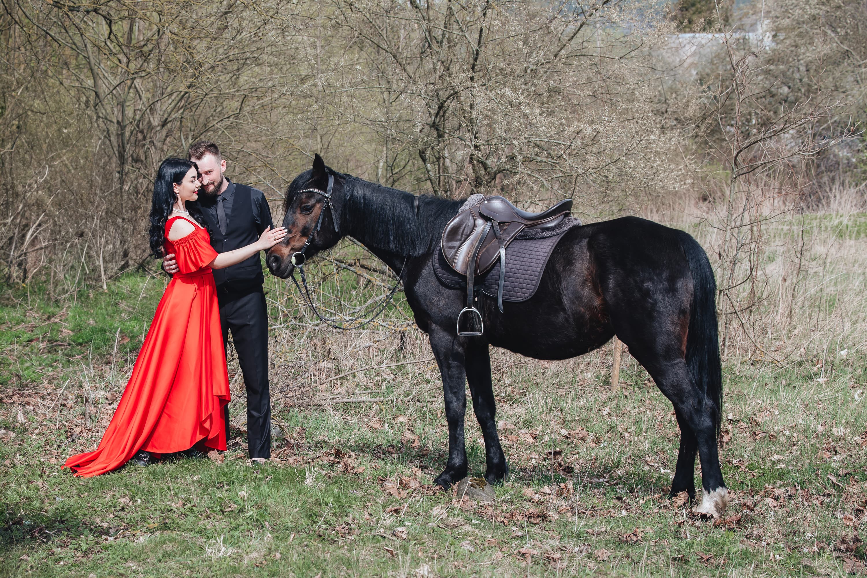 Love Story with horses · photo 1