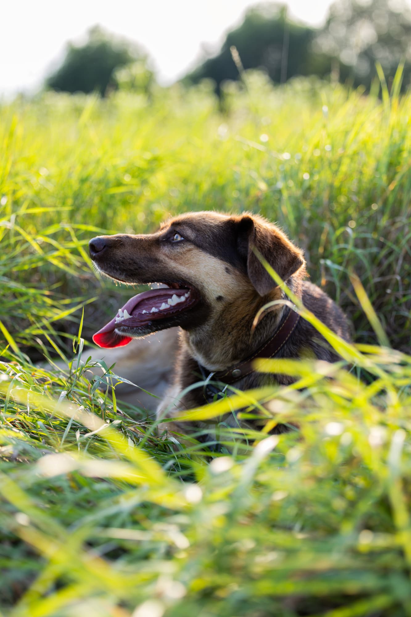 Masha and Lyalia · photo 7