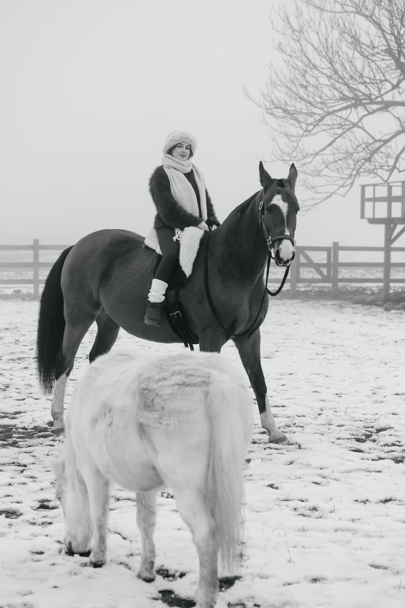 Maria and the horses · photo 2