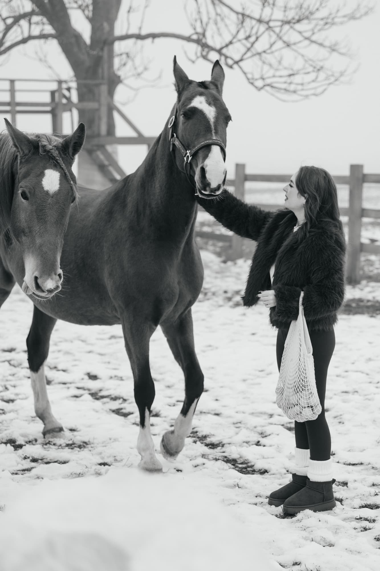 Maria and the horses · photo 12