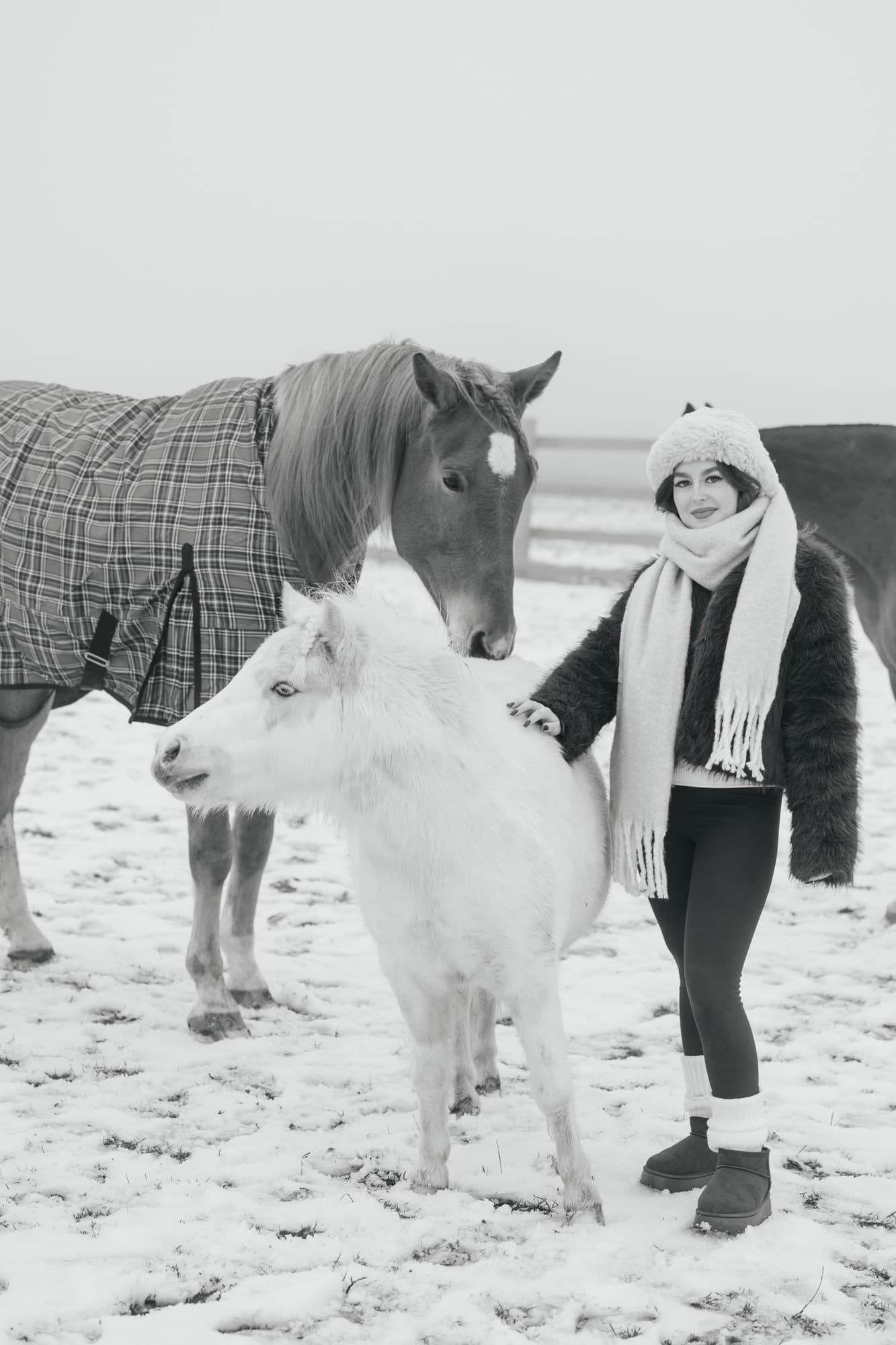 Maria and the horses · photo 20