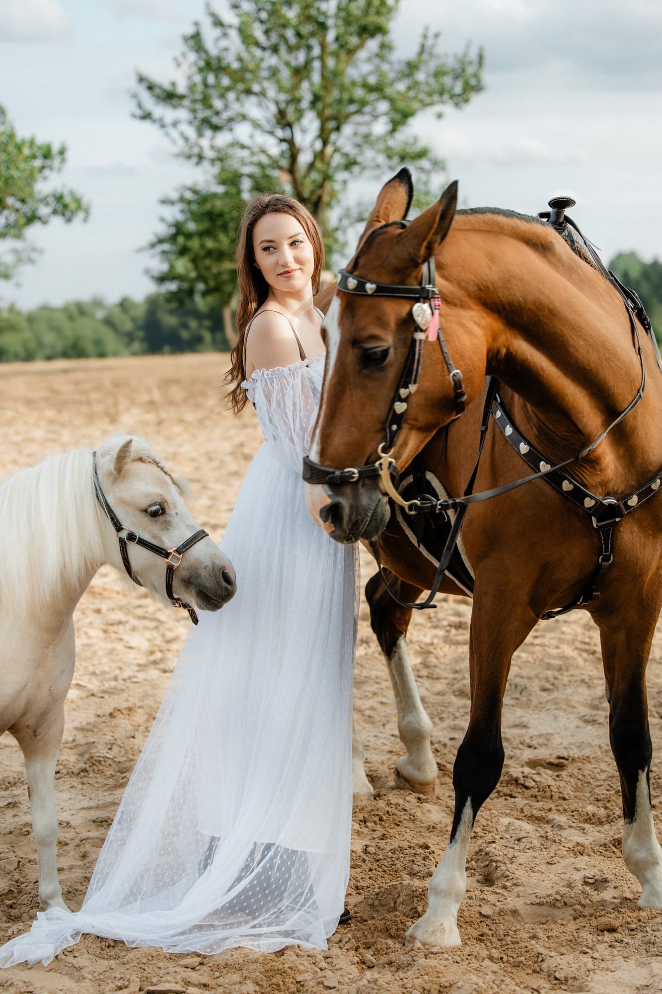 A summer evening at the stable · photo 2