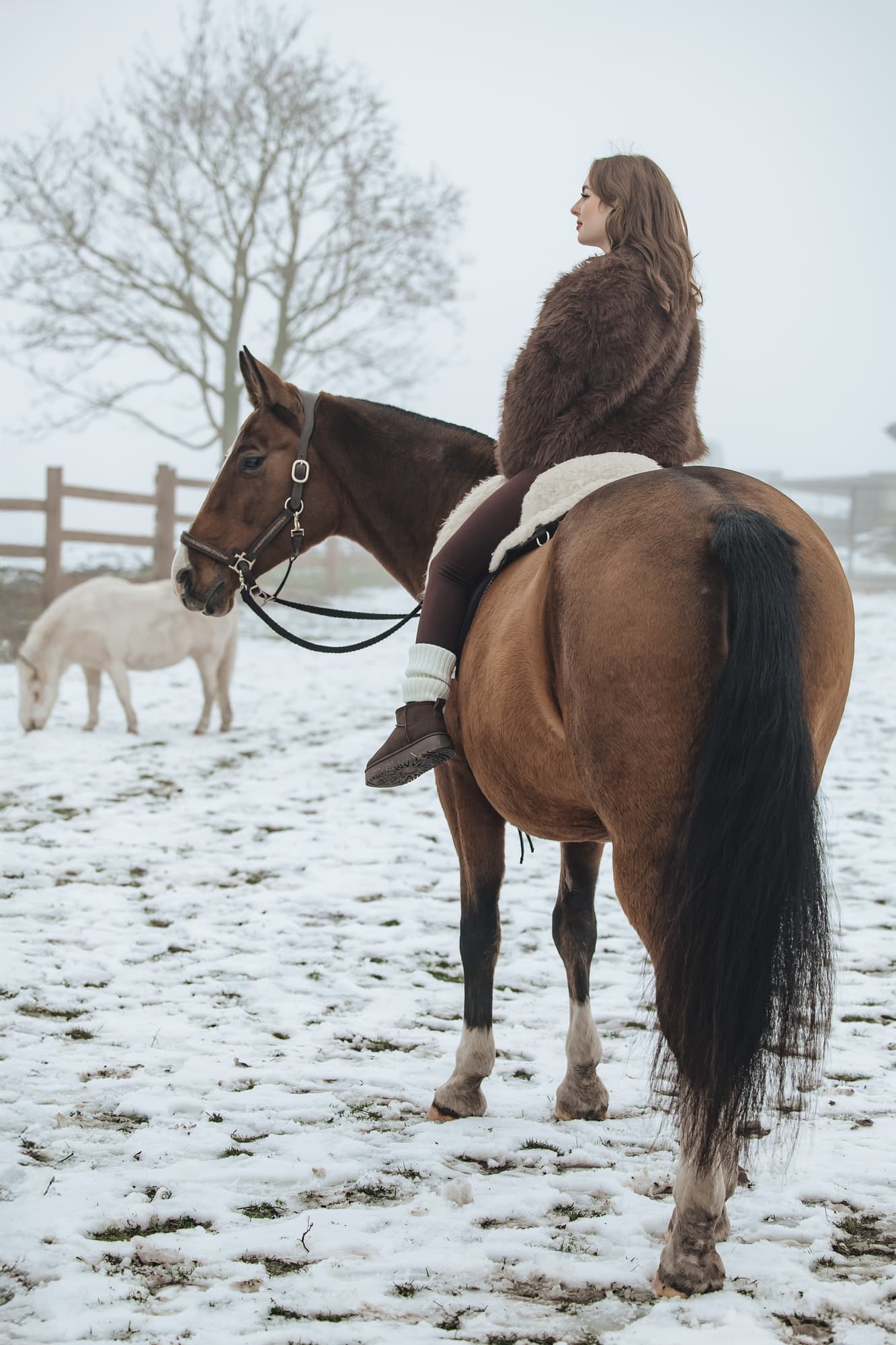 Maria and the horses · photo 8