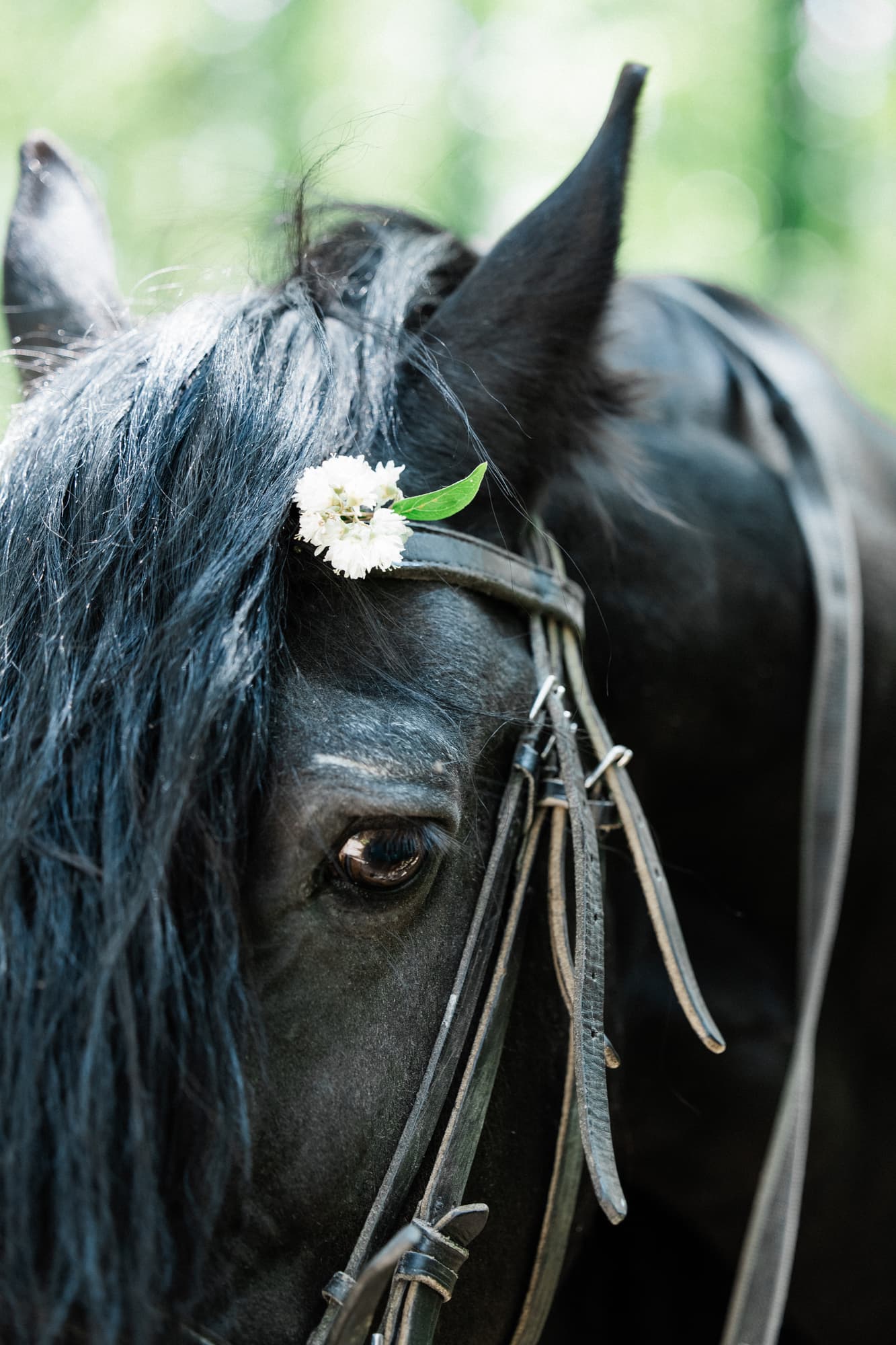 Diana and Johannes · photo 3