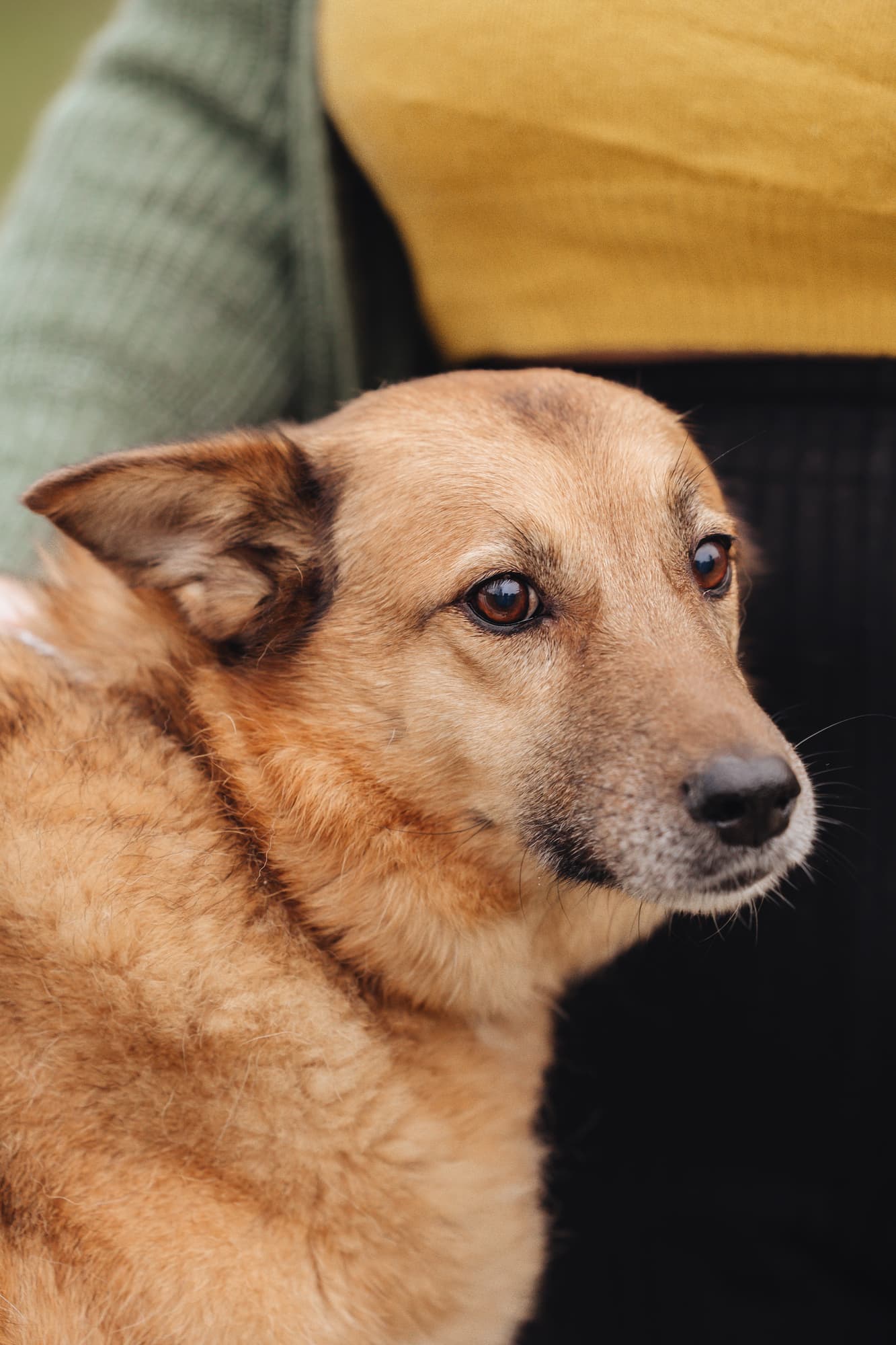 Nastya and Palma · photo 18