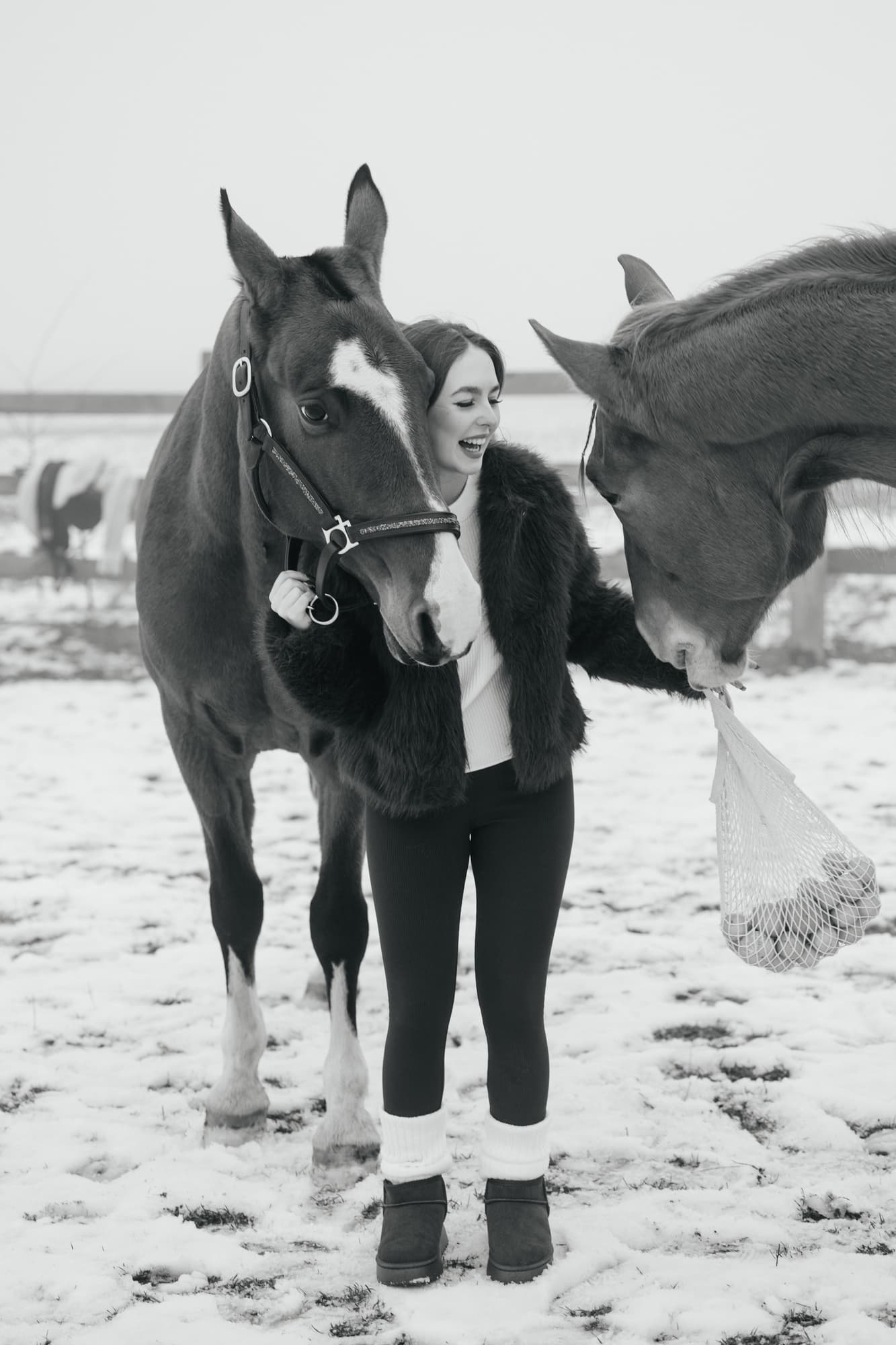 Maria and the horses · photo 16