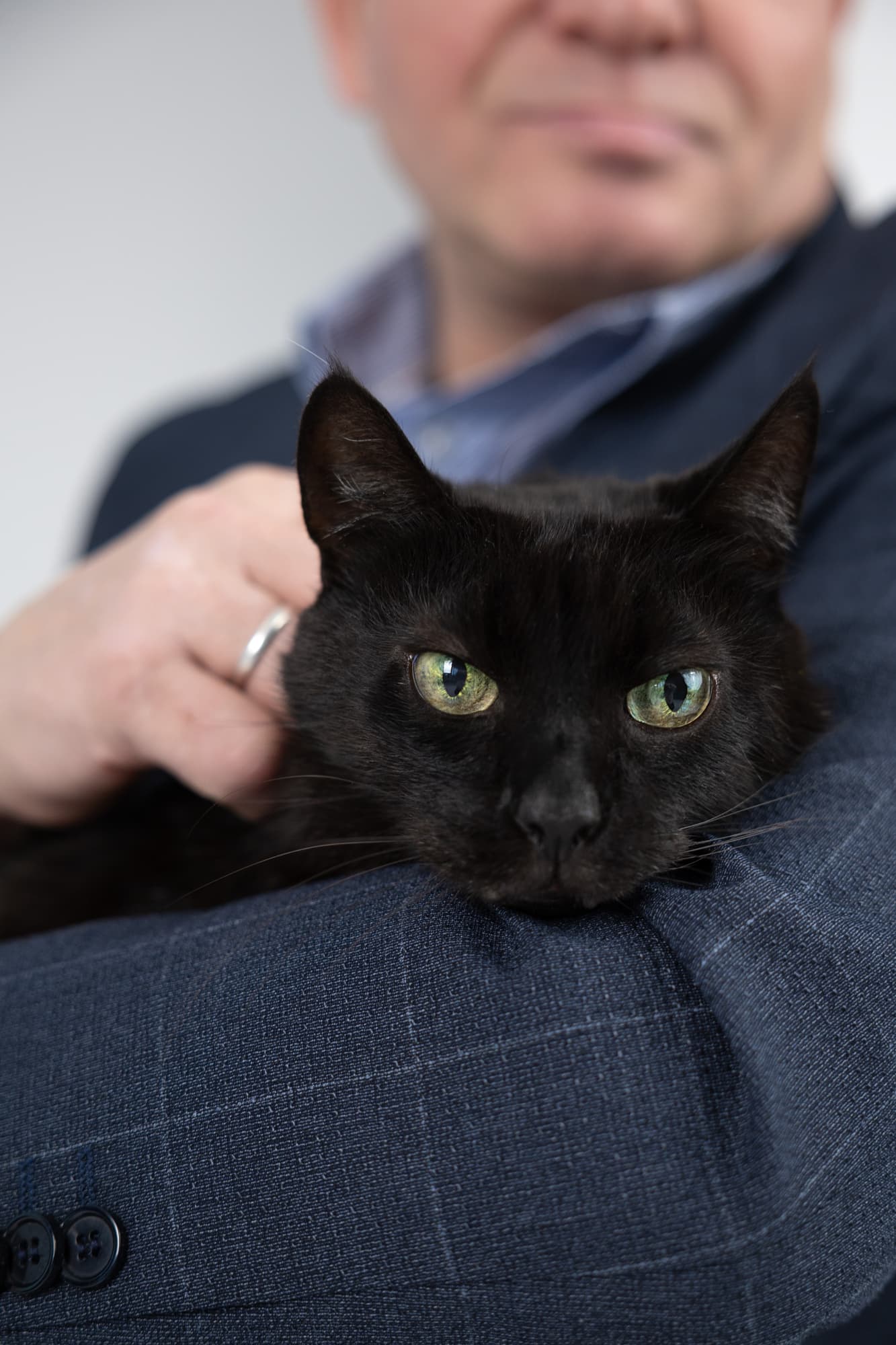 Lisa’s cats · photo 3