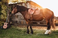 Вероника и Лада · миниатюра 17