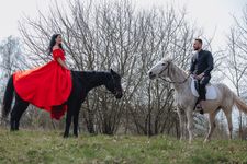 Love Story и лошади · миниатюра 12