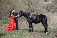 Love Story и лошади · миниатюра 1