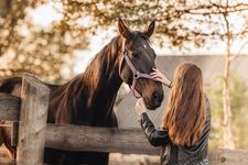 Вероника и Лада · миниатюра 9