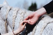 Love Story и лошади · миниатюра 17