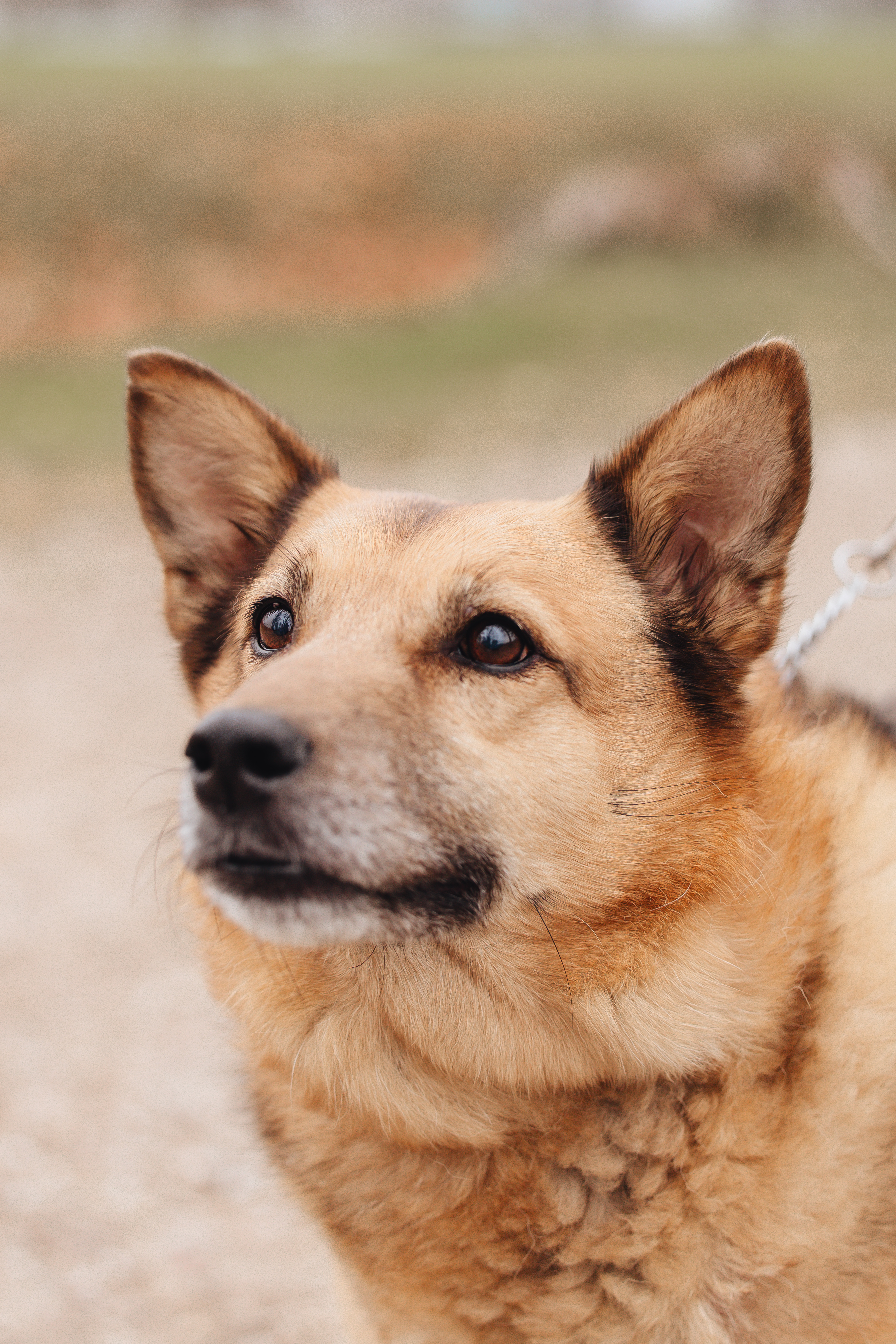 Настя и Пальма · фото 13