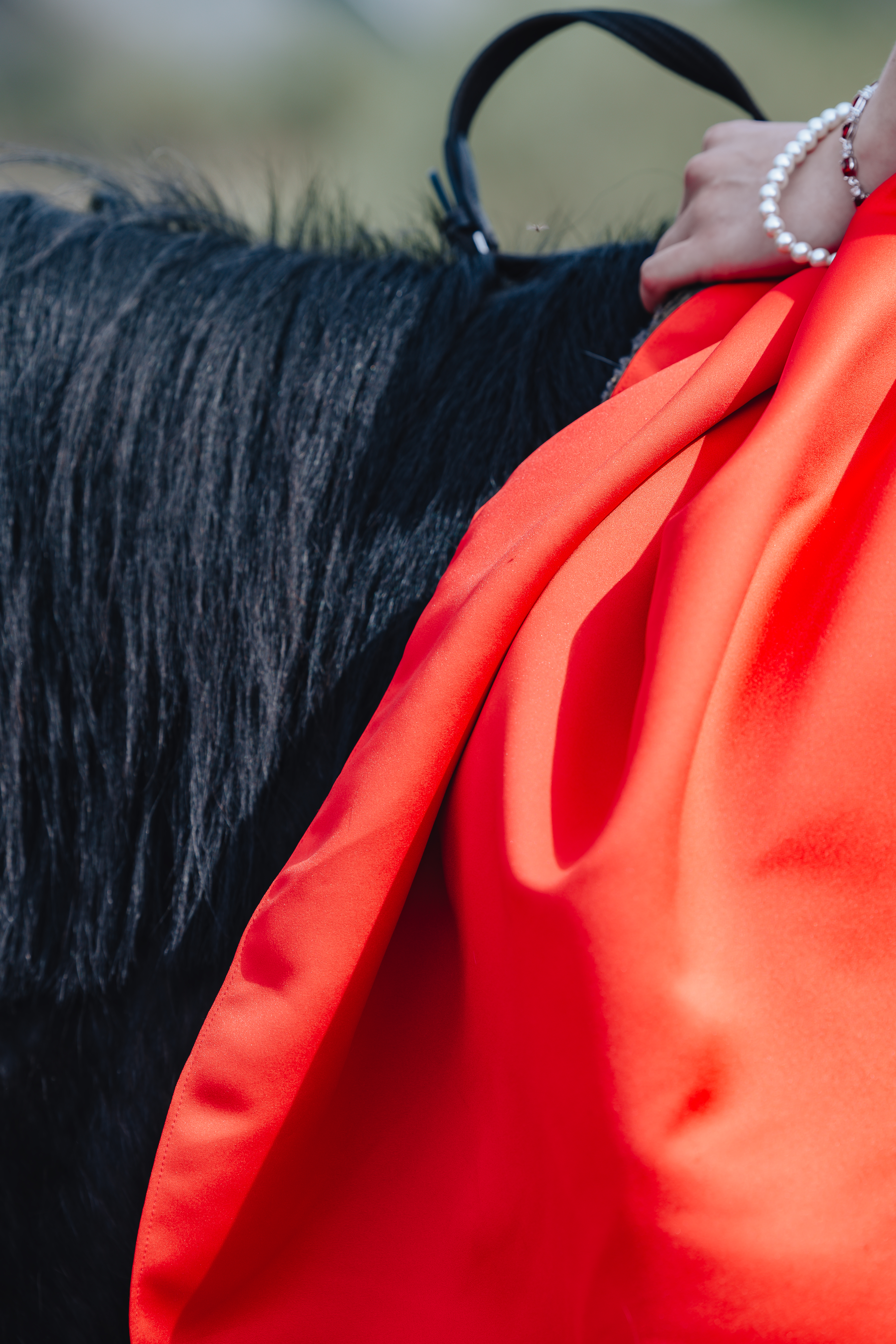 Love Story и лошади · фото 14