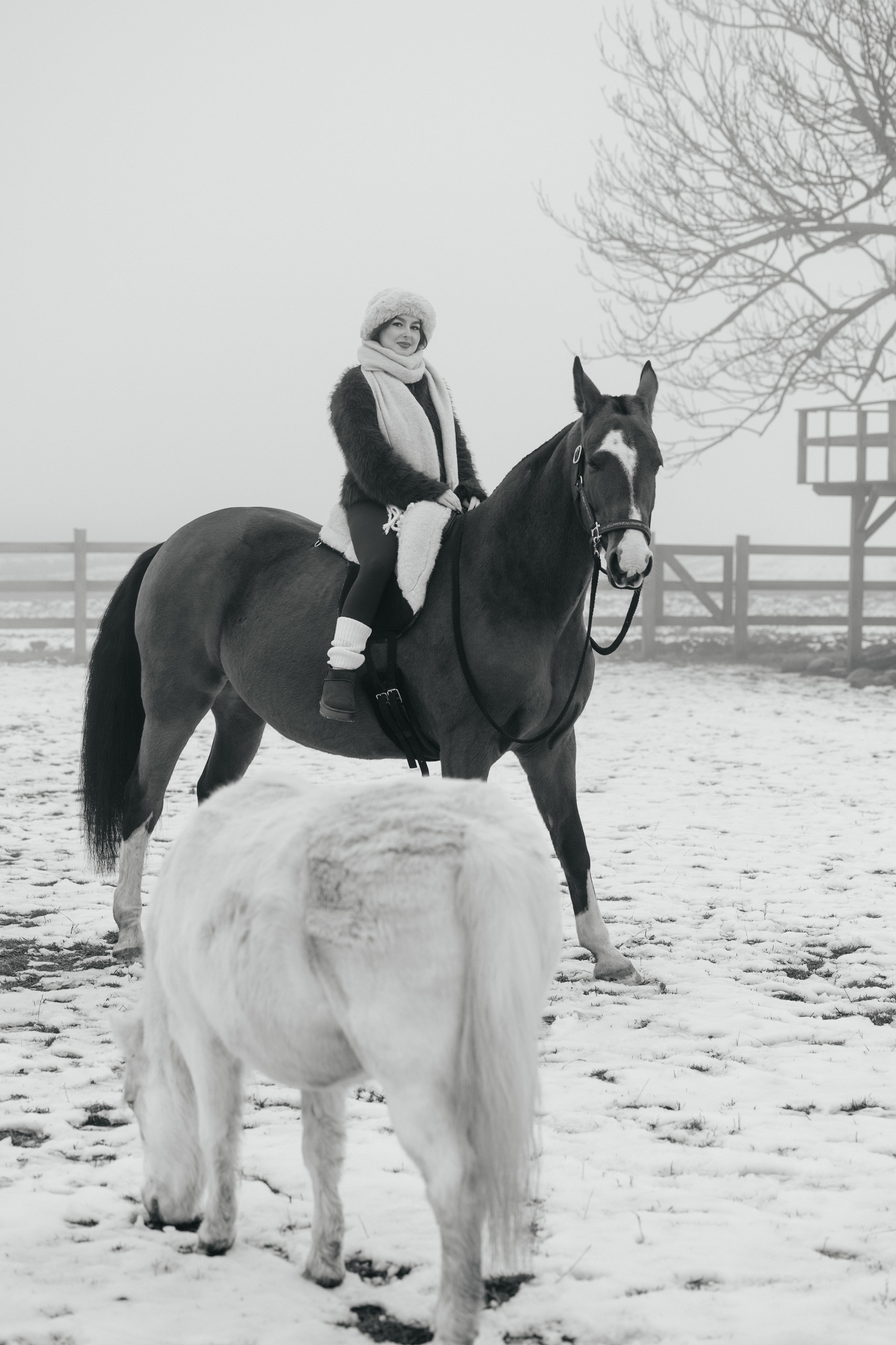 Мария и лошади · фото 2