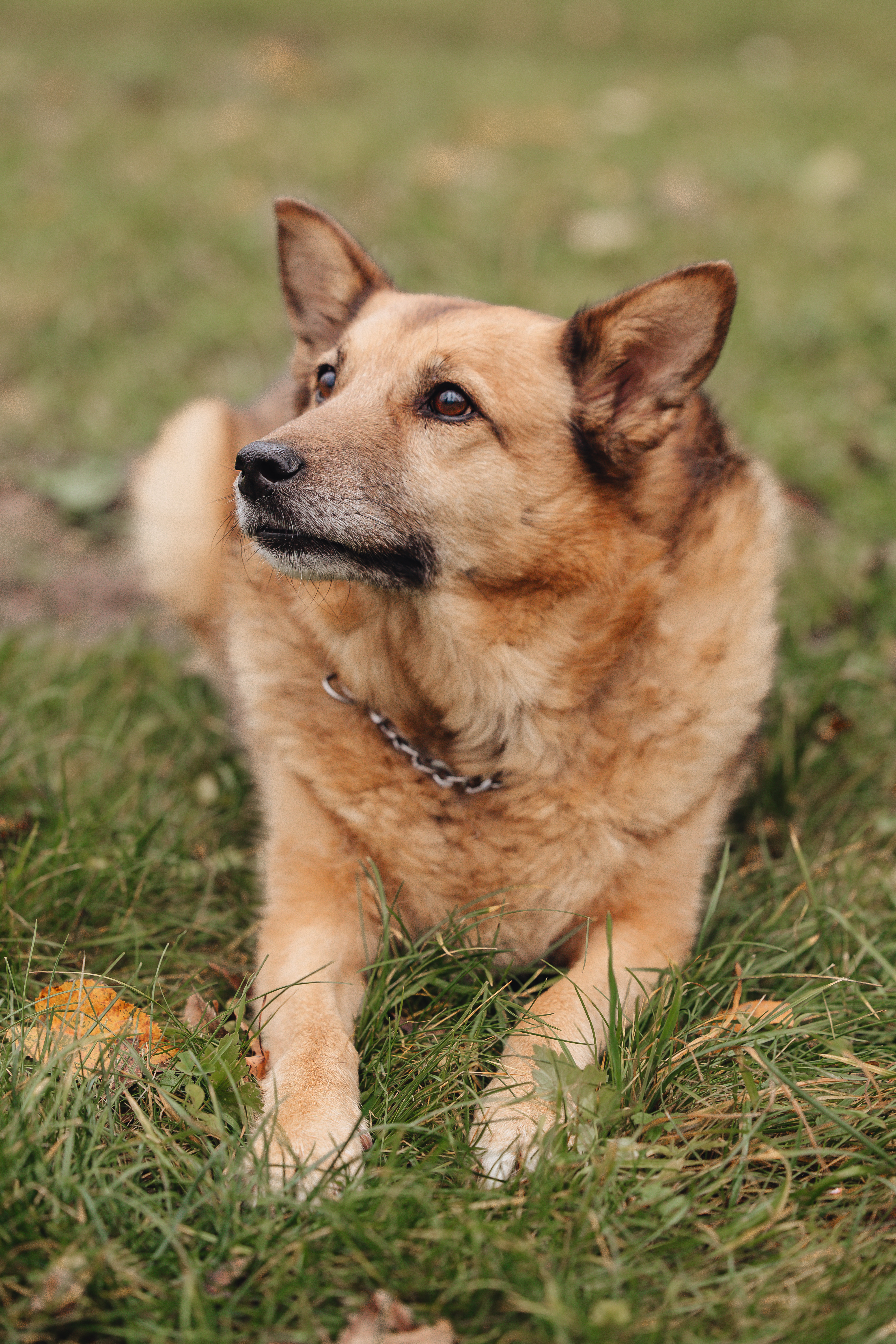 Настя и Пальма · фото 19