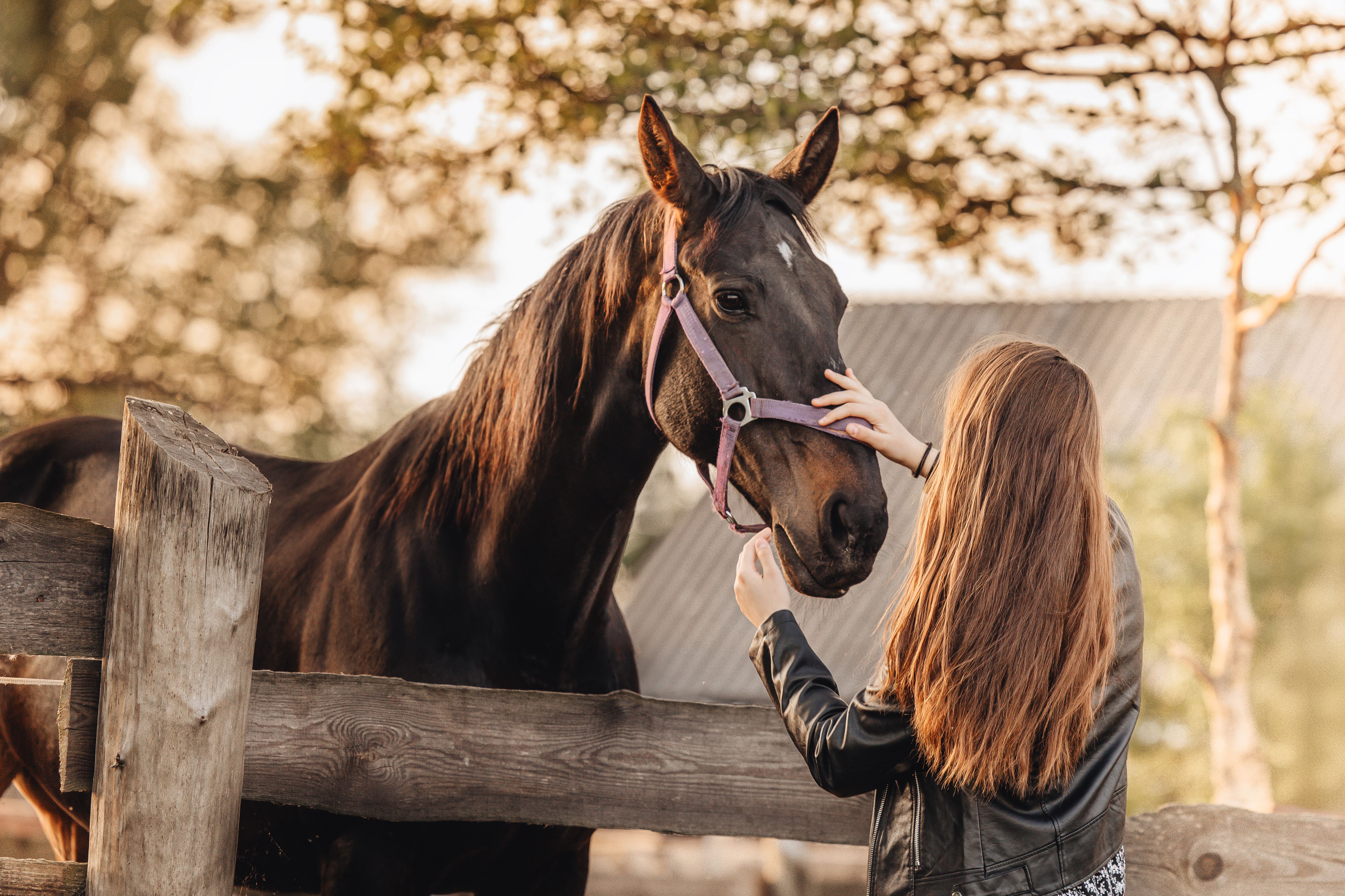 Вероника и Лада · фото 9