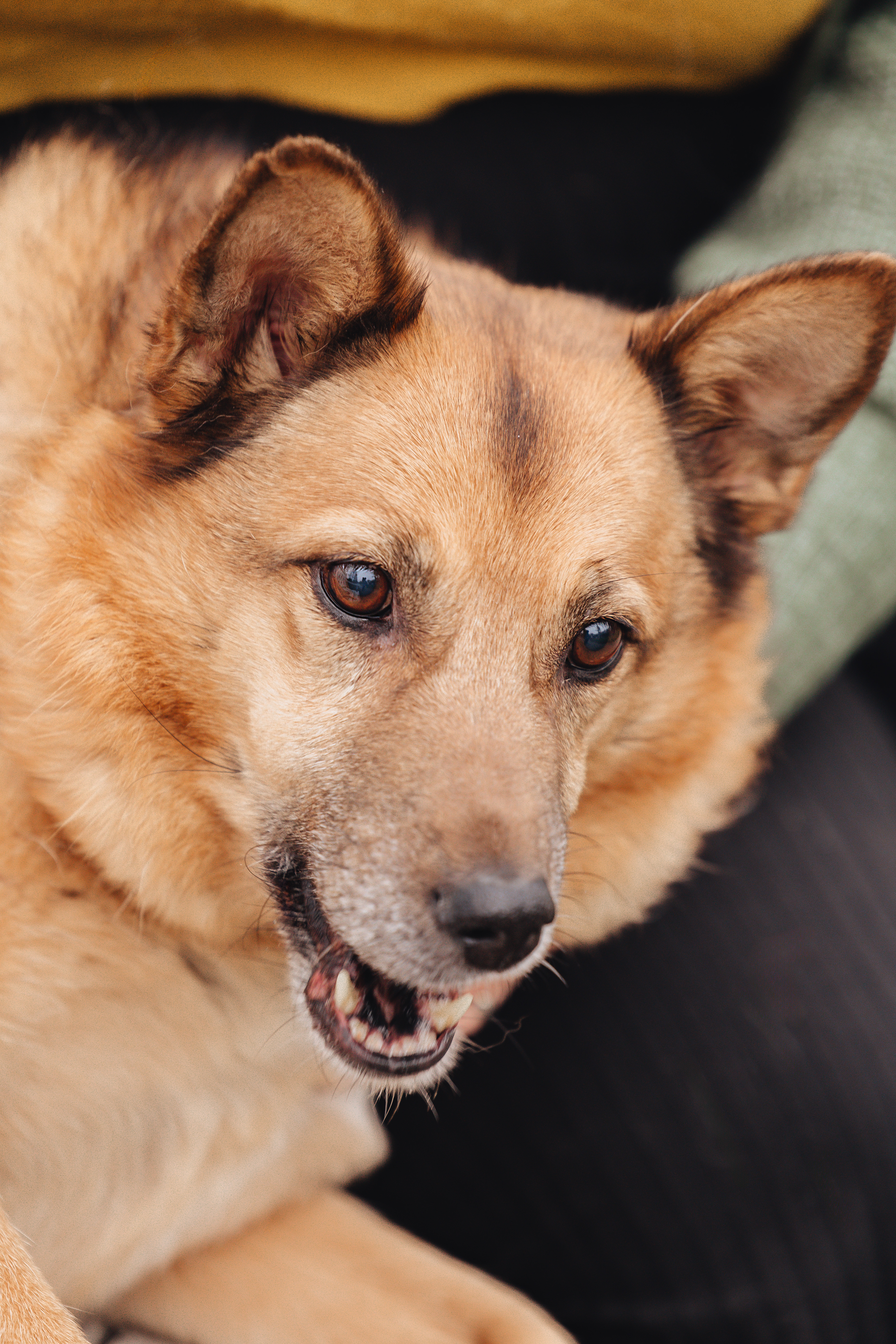 Настя и Пальма · фото 15