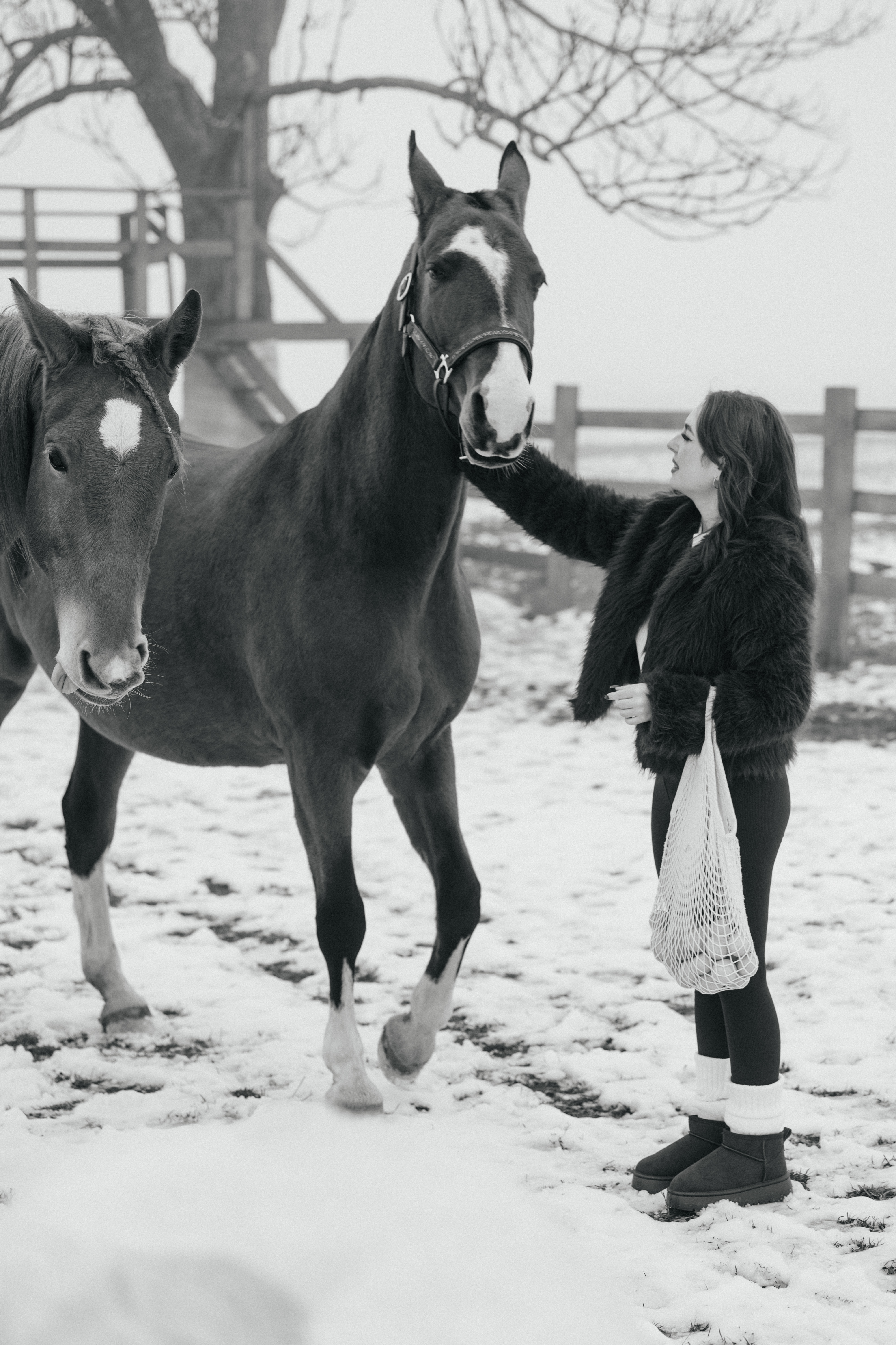 Мария и лошади · фото 12