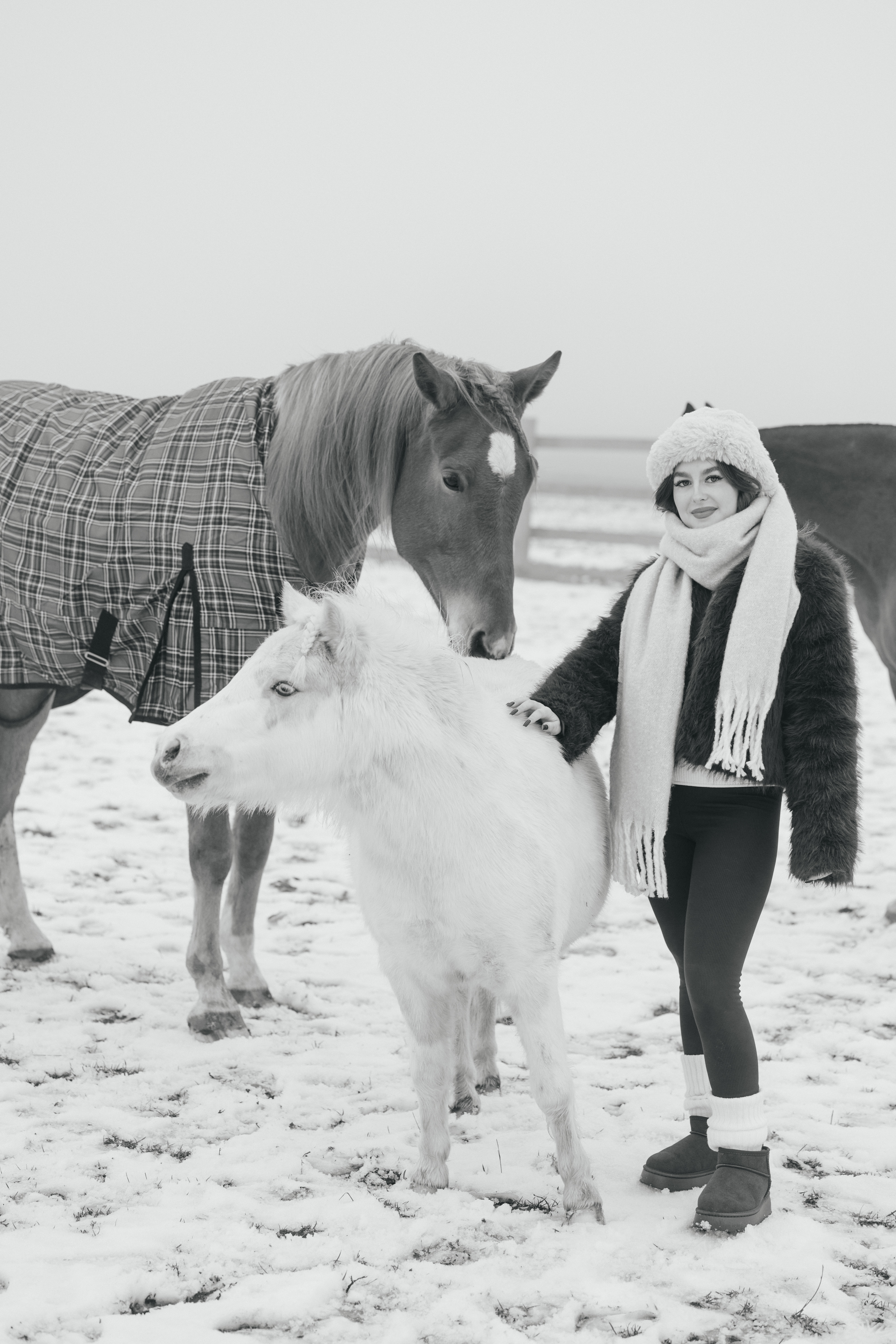 Мария и лошади · фото 20