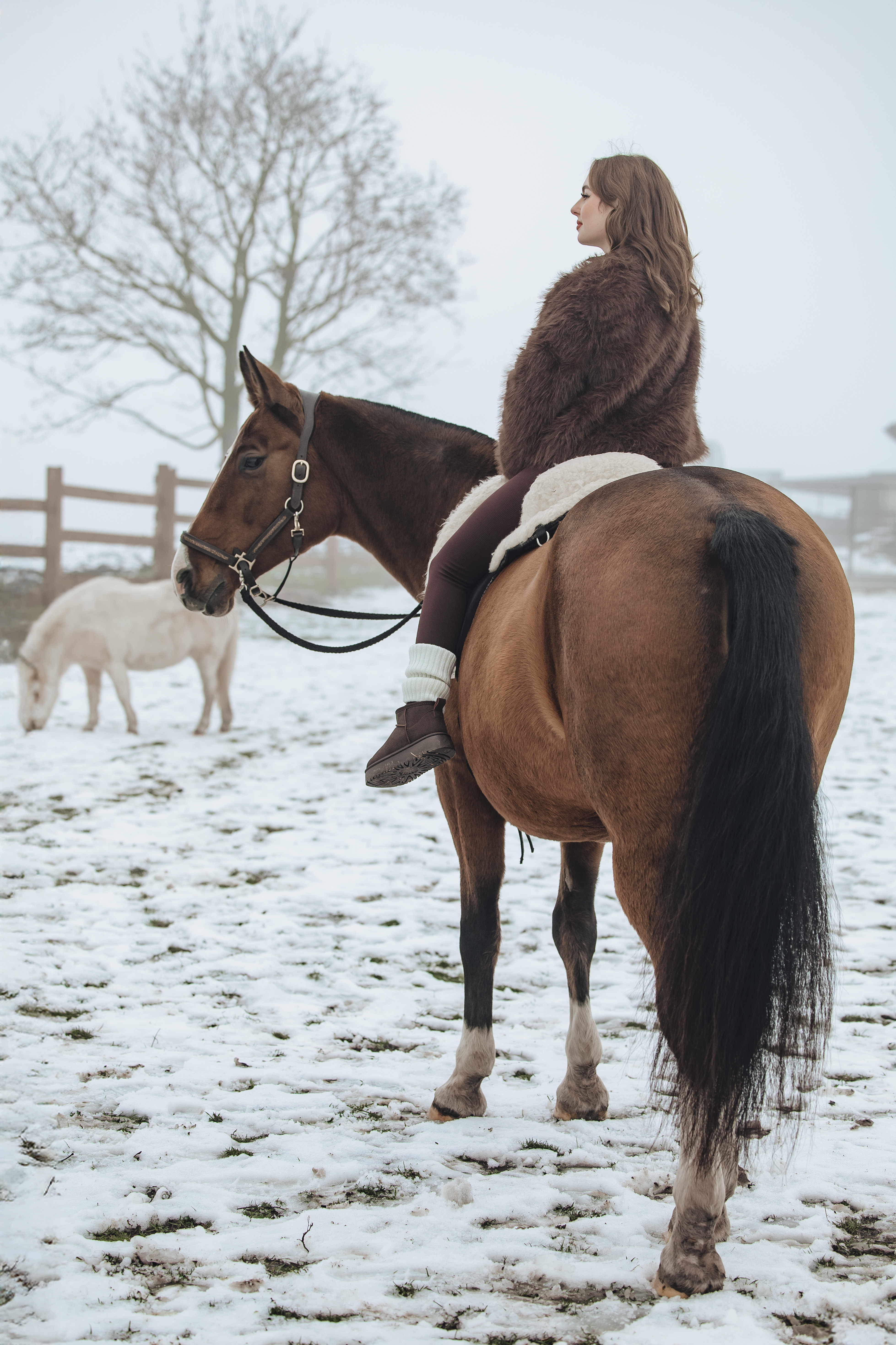 Мария и лошади · фото 8