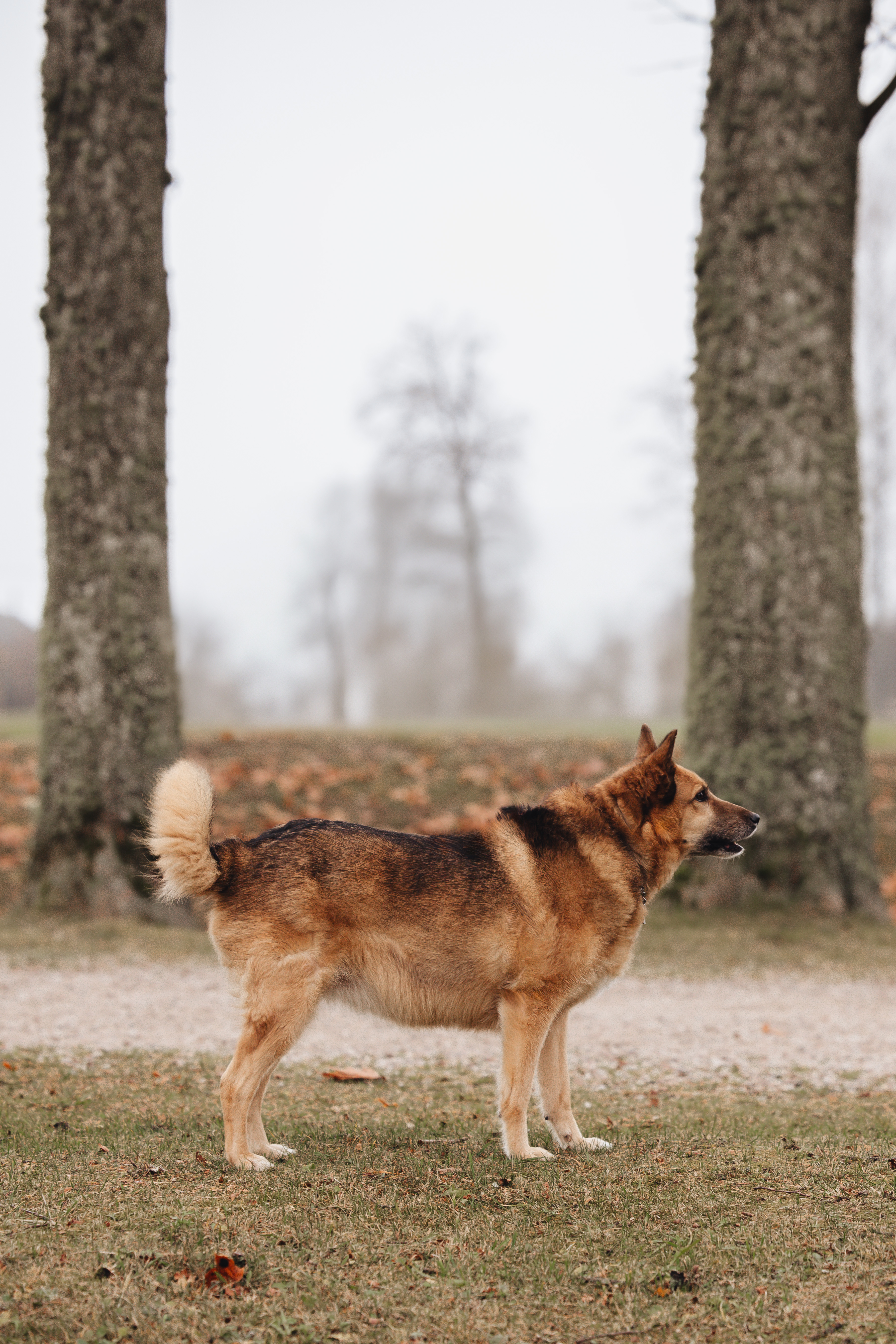 Настя и Пальма · фото 10