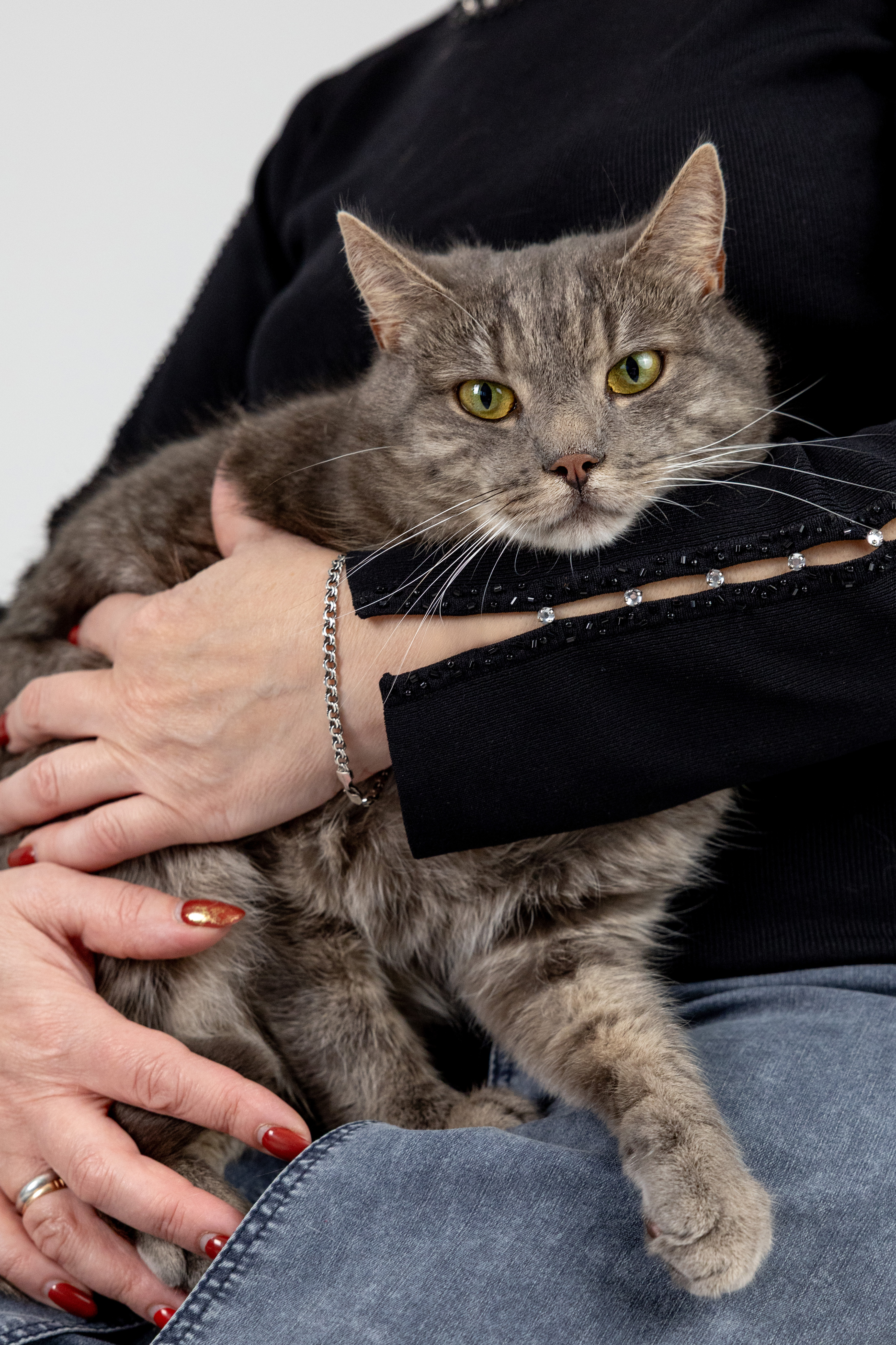 Коты Лизы · фото 14