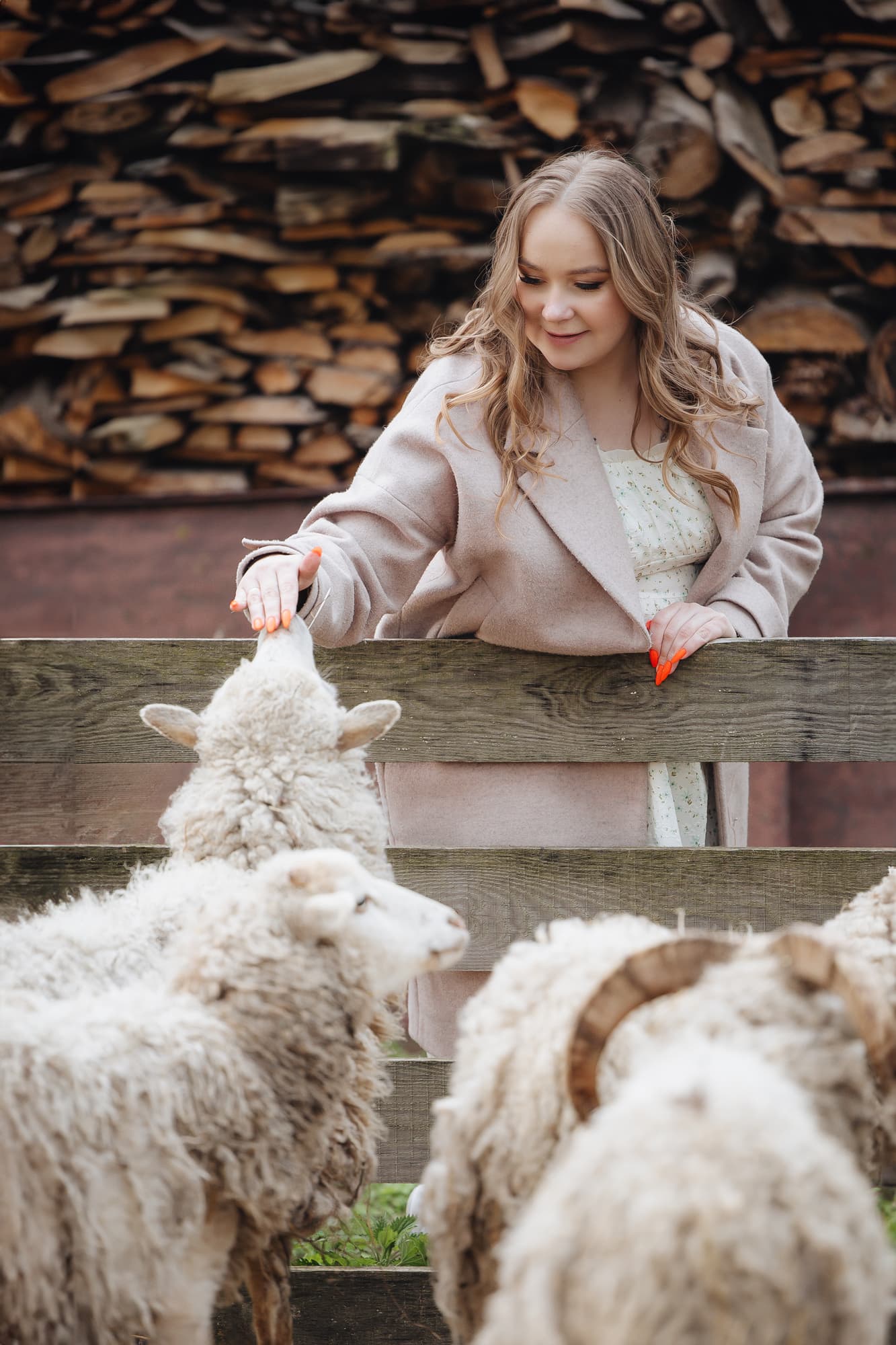 Другие животные · фото 6